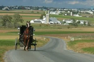 A horse pulling a carriage on a rural road with farmland and silos in the background.
