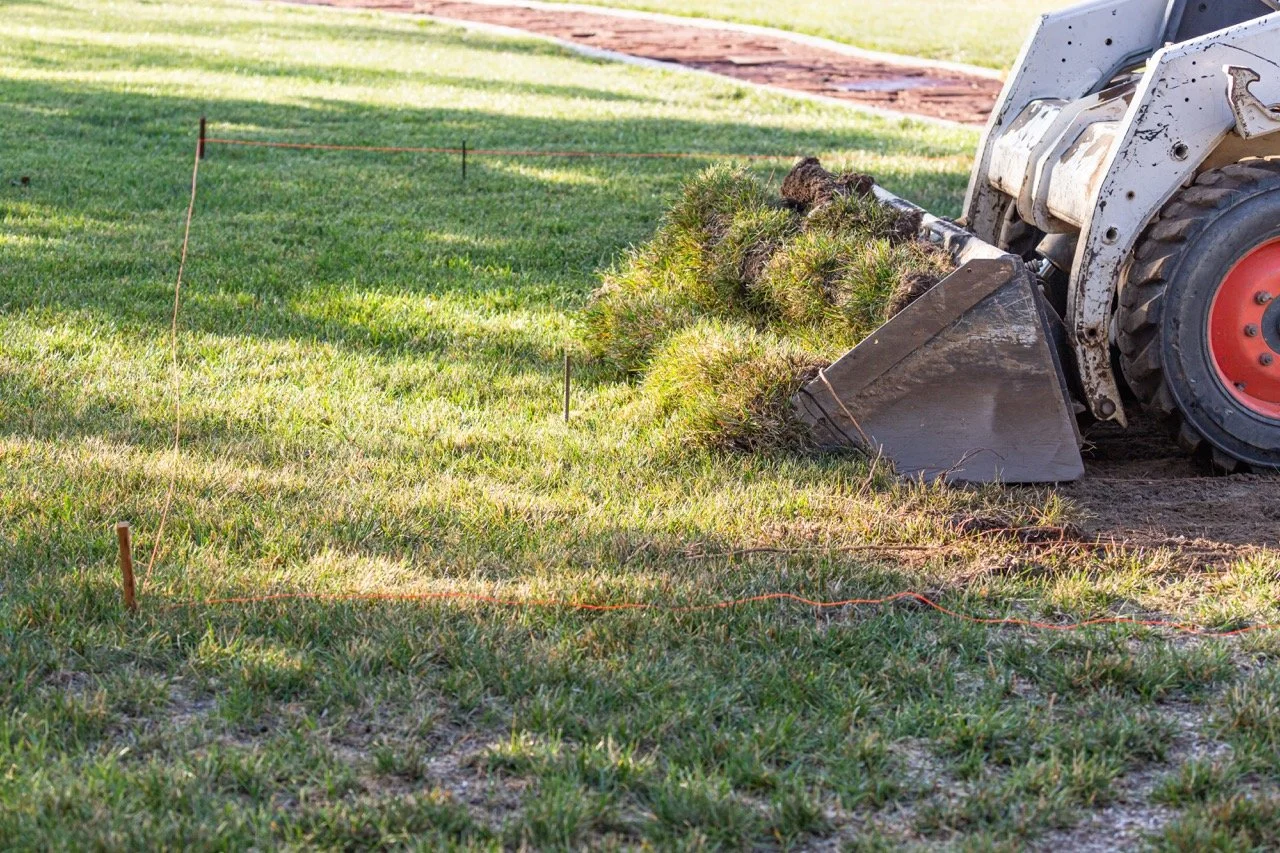 A tractor is using a front loader attachment to move a large uprooted tree in a grassy area, with orange string markers on the ground around the site.