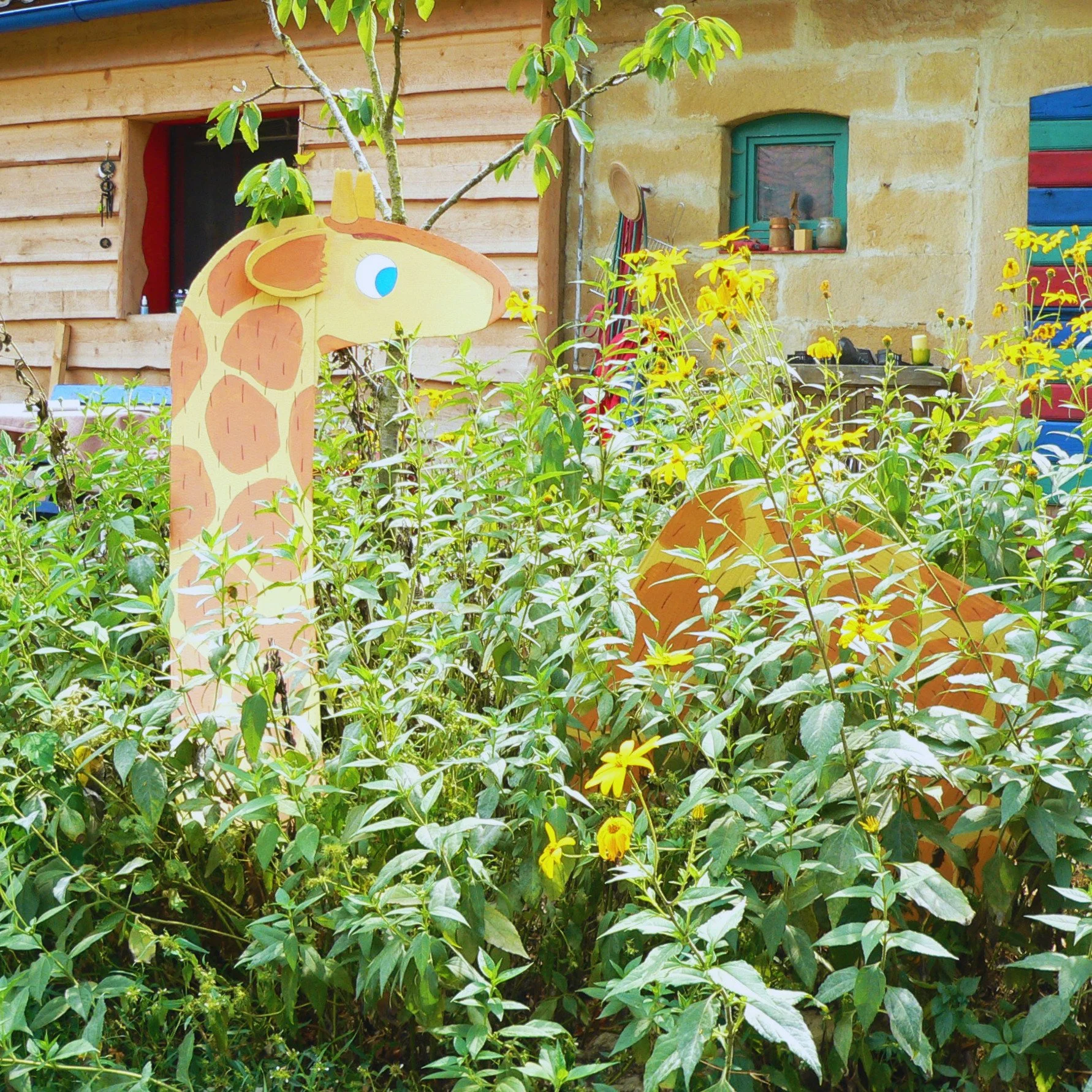 Fräulein Neugierig versteckt sich im Garten