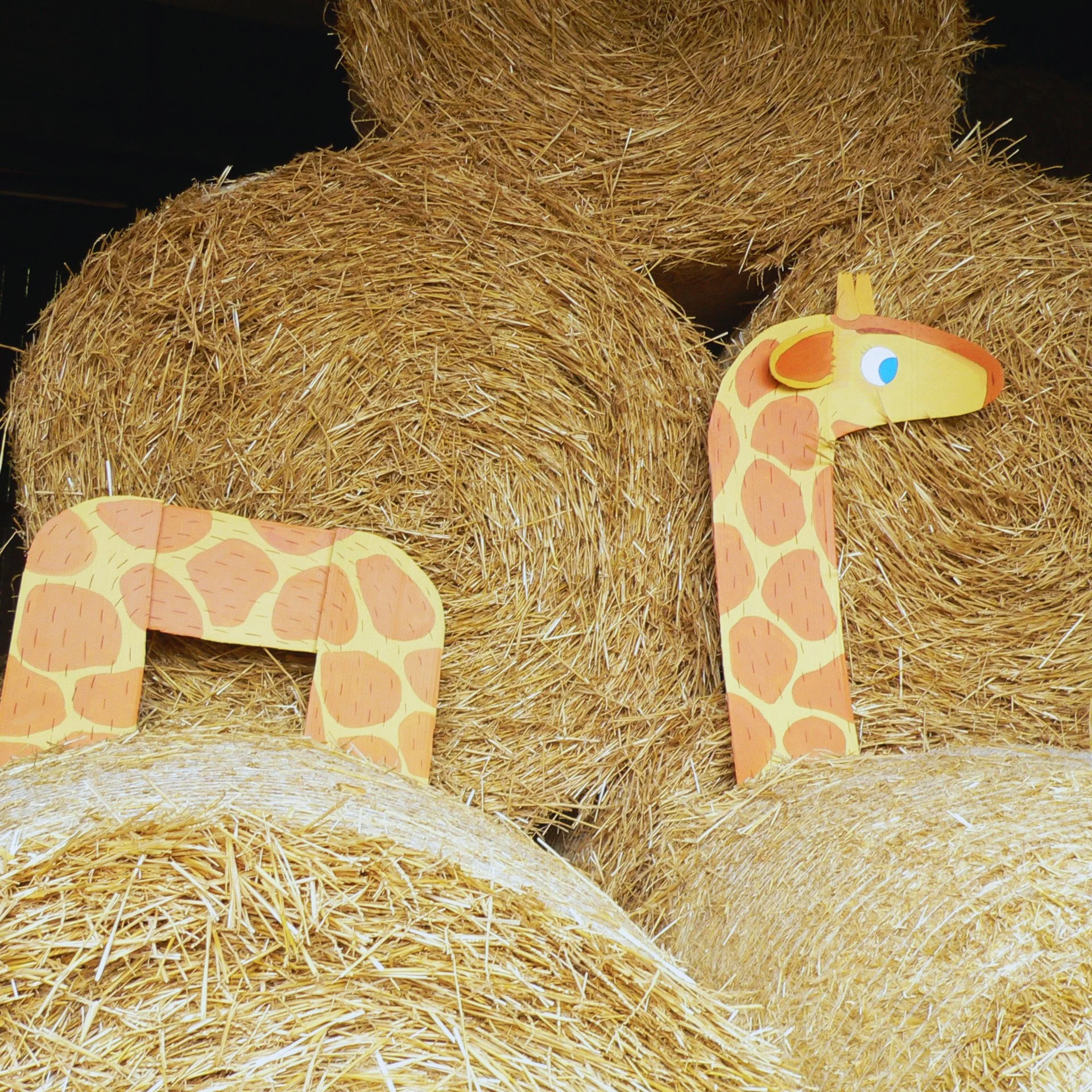 Fräulein Neugierig im Stroh