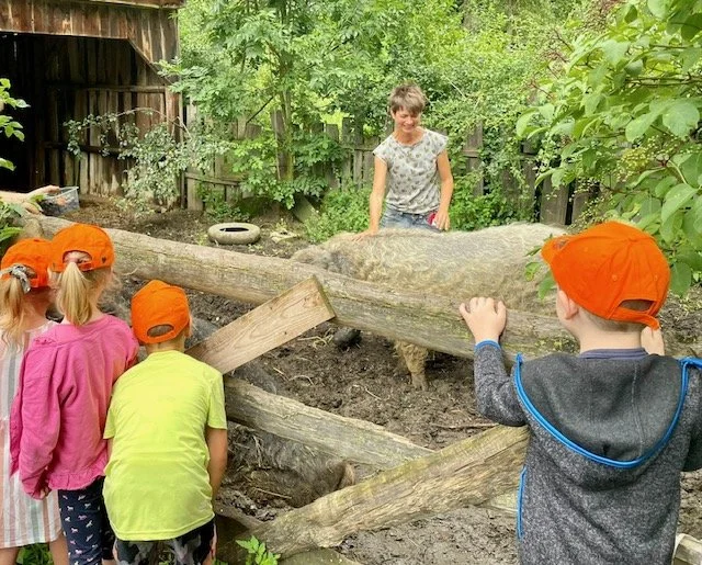 bauernhofbesuch2.jpg