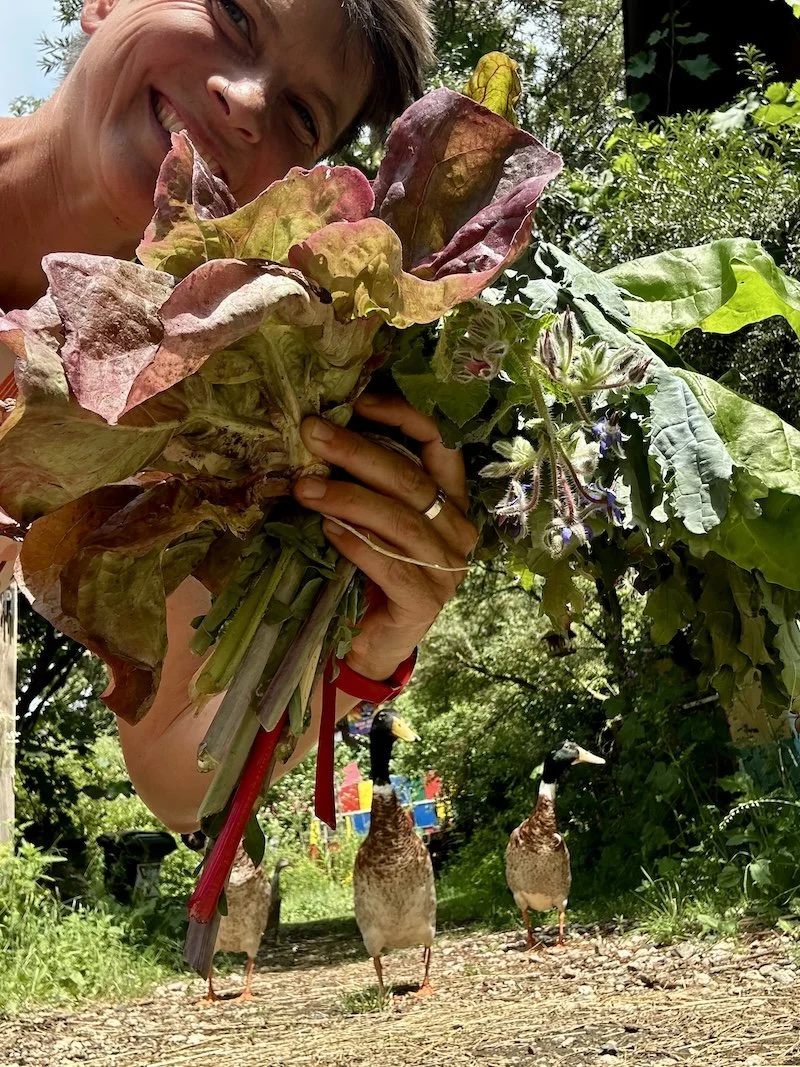  Ich, mit meinem Lesungs-Blumenstraß aus dem Schulgarten (Ehrlich!) - die Laufenten Herren gucken zurecht neidisch 
