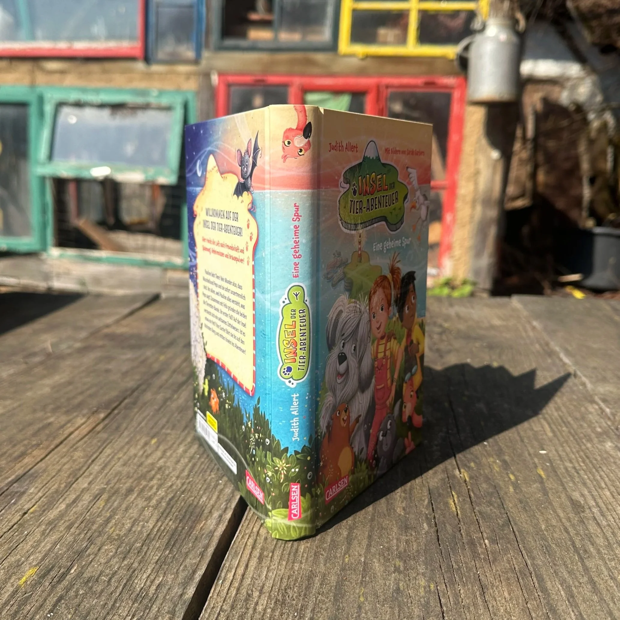 Das Buch Ein Foto des Buchs "Insel der Tierabenteuer - eine geheime Spur" steht hochkant auf einem Tisch.