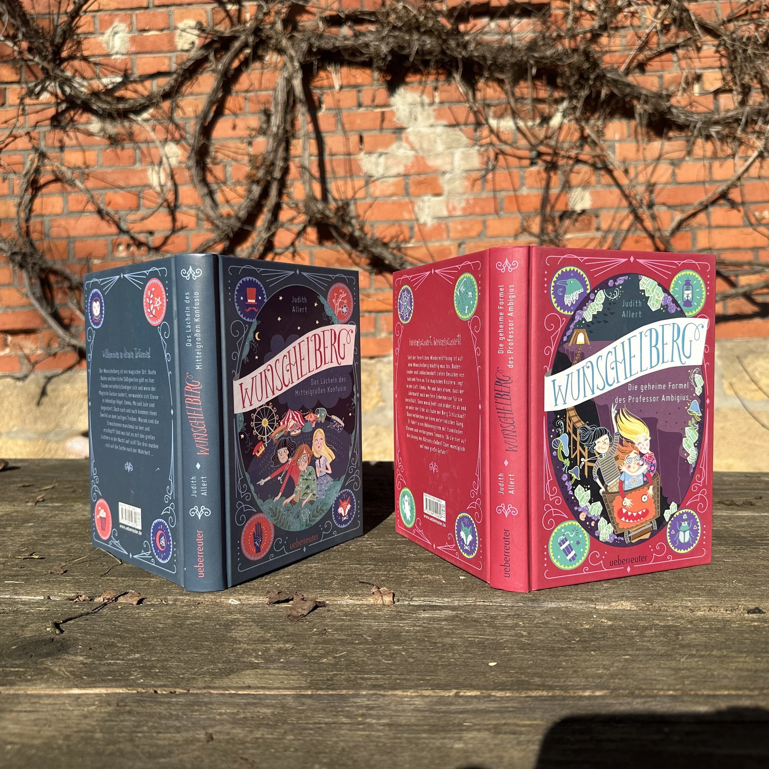 Wunschelberg Paket Buchrücken.jpg