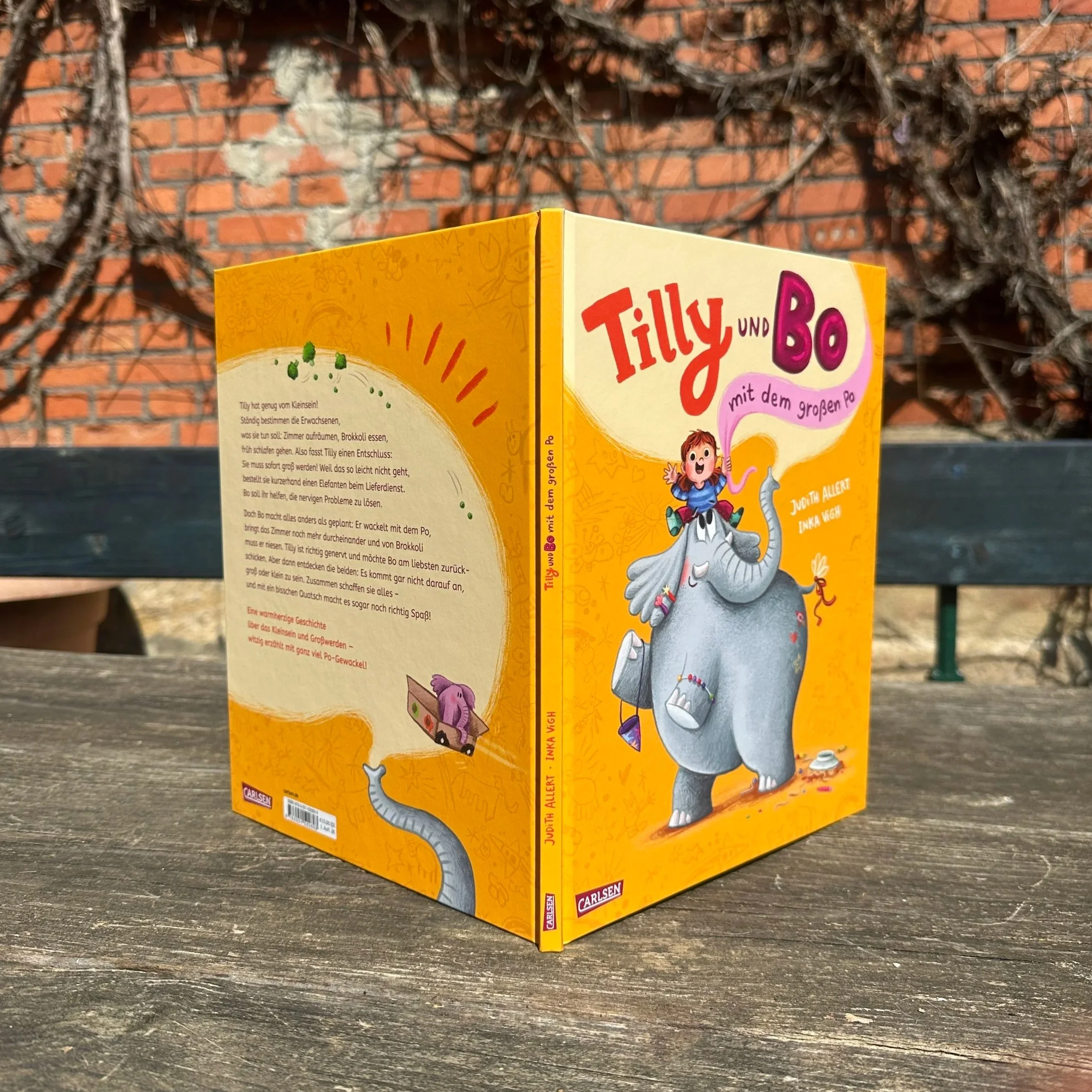 Das Bilderbuch Tilly & Bo steht hochkant auf einem Tisch.