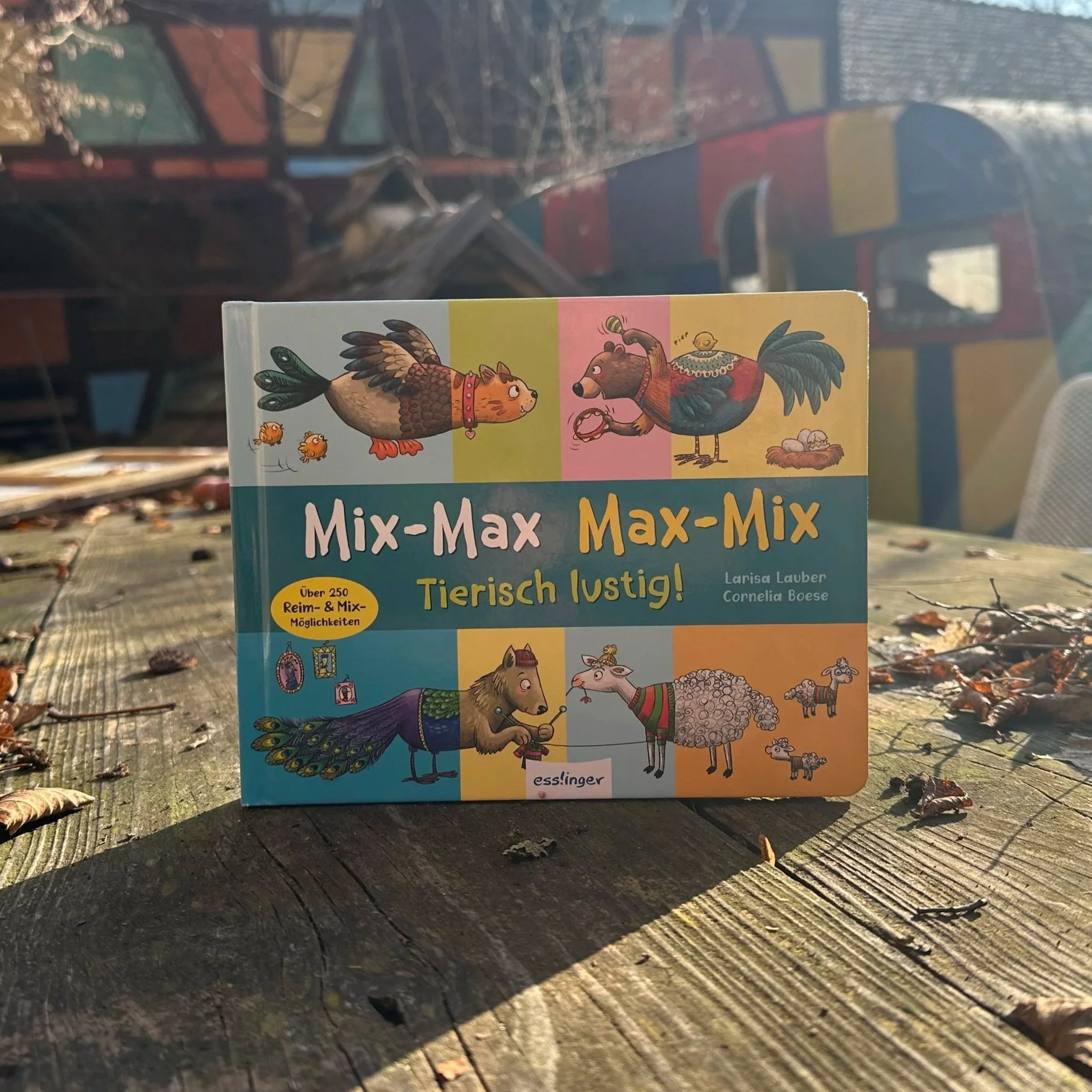 Ein Foto vom Buch Mix-Max Max-Mix