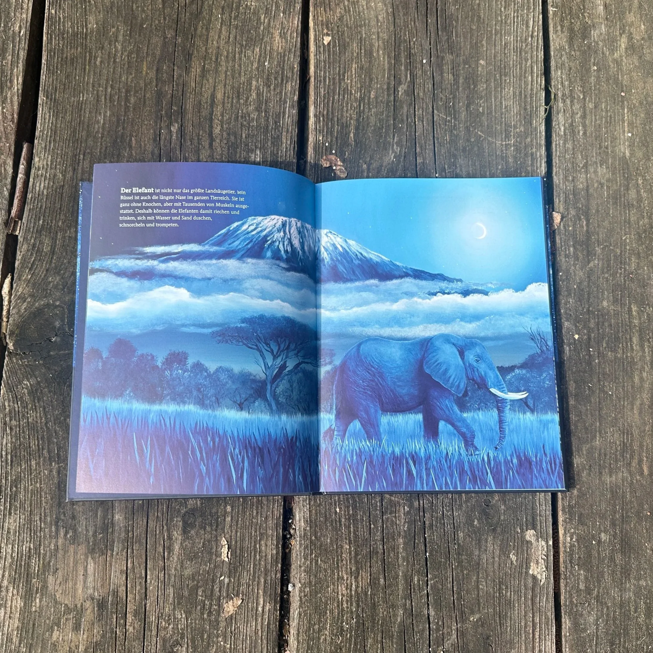 Das aufgeschlagene Buch: "Wer wacht, wer schläft in der Nacht"