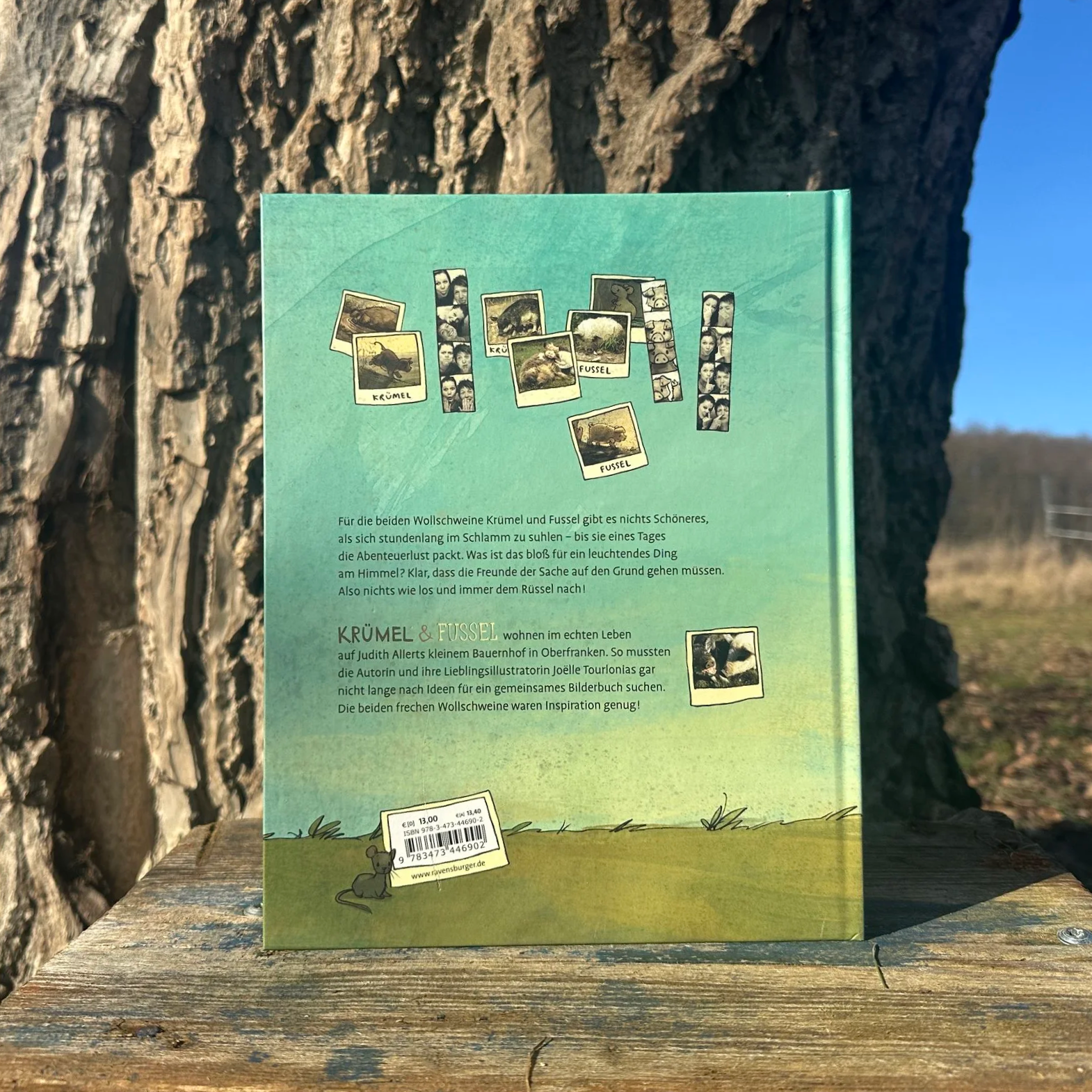 Die Rückseite des Buches "Krümel und Fussel"