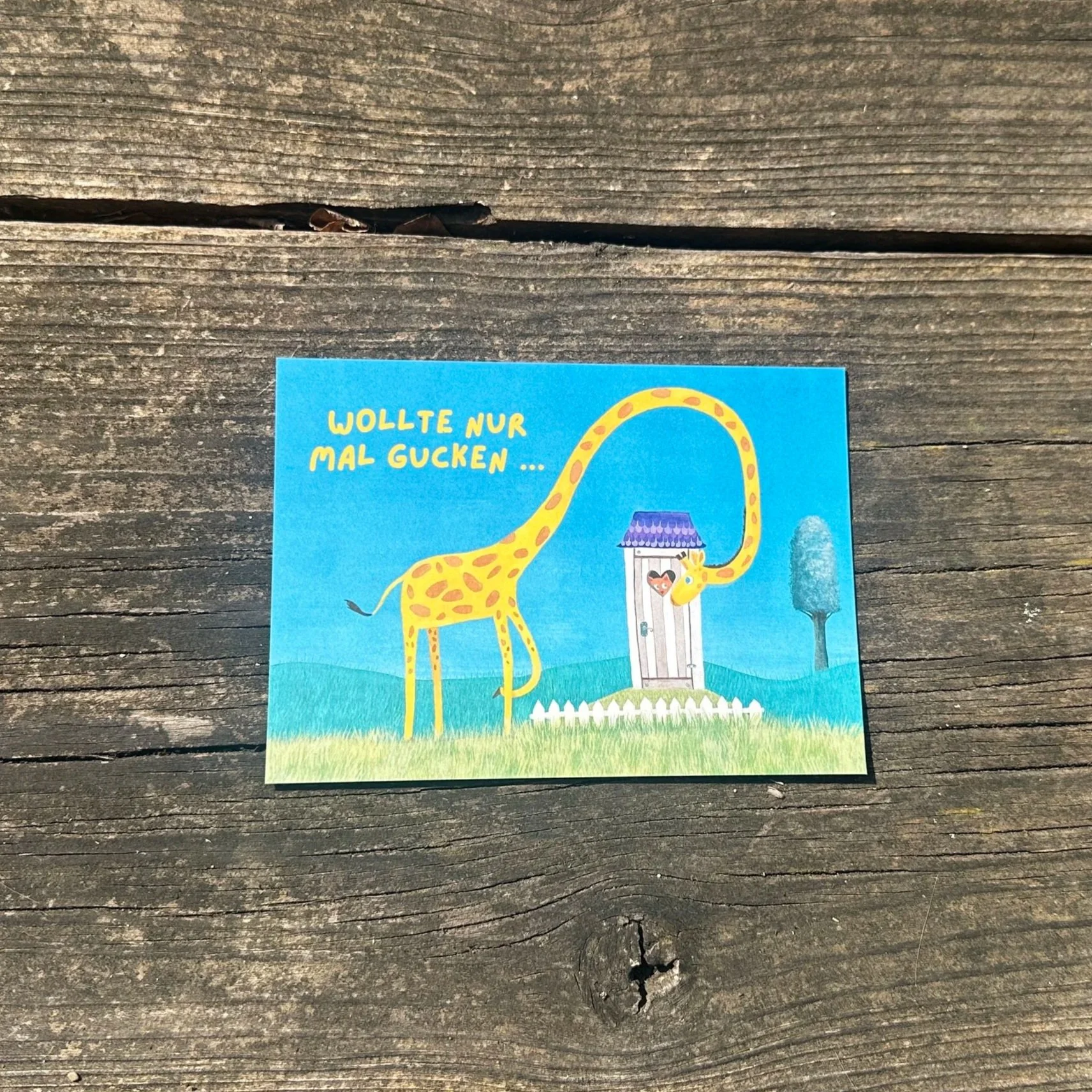 Postkarte "Nur mal gucken"