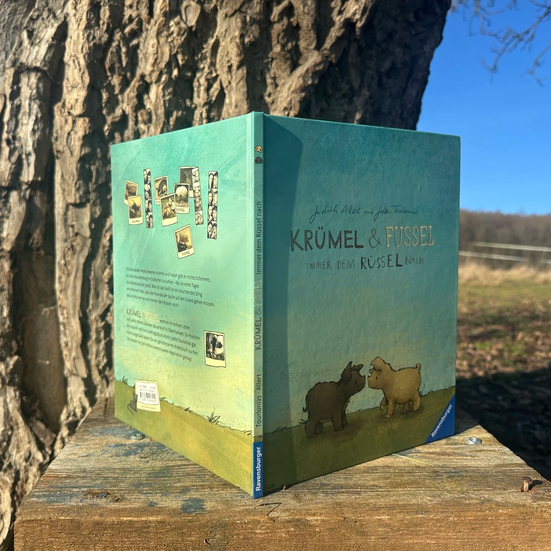 Das Buch "Krümel und Fussel". Eine aufgeklappte Rückansicht.