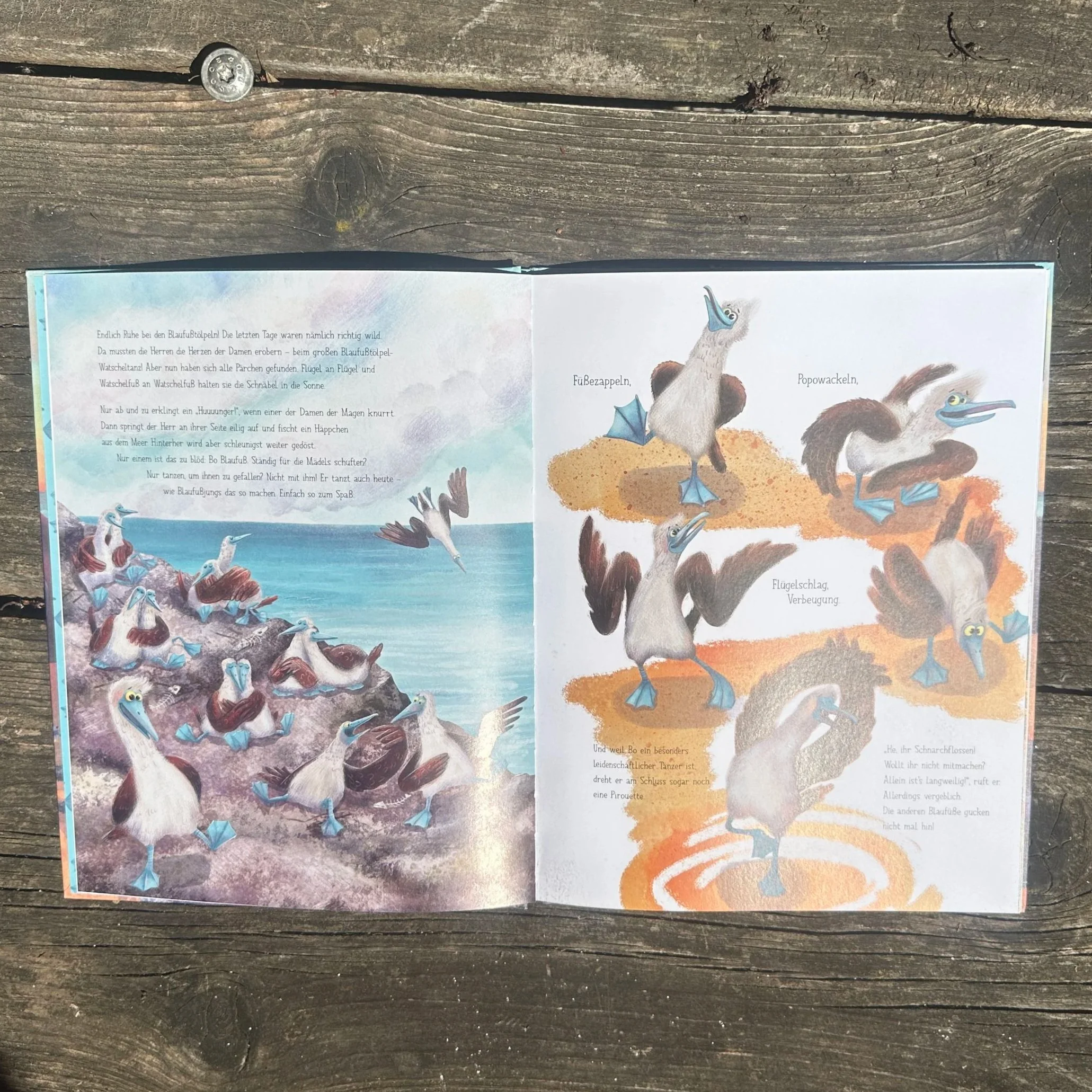Eine Innenseite aus dem Buch Bo Blaufuß