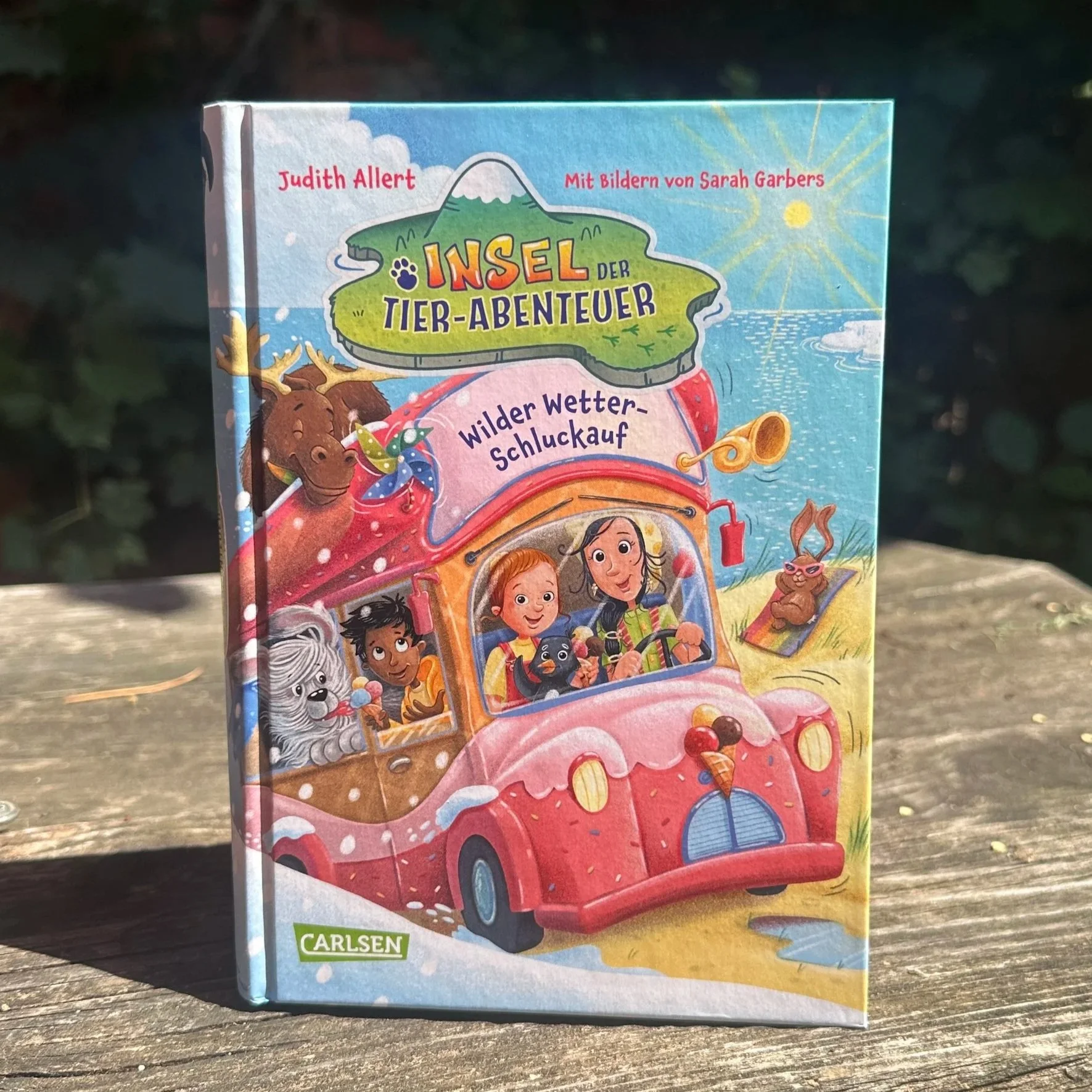 Das Buch Insel der Tierabenteuer- Wilder-Wetterschluckauf