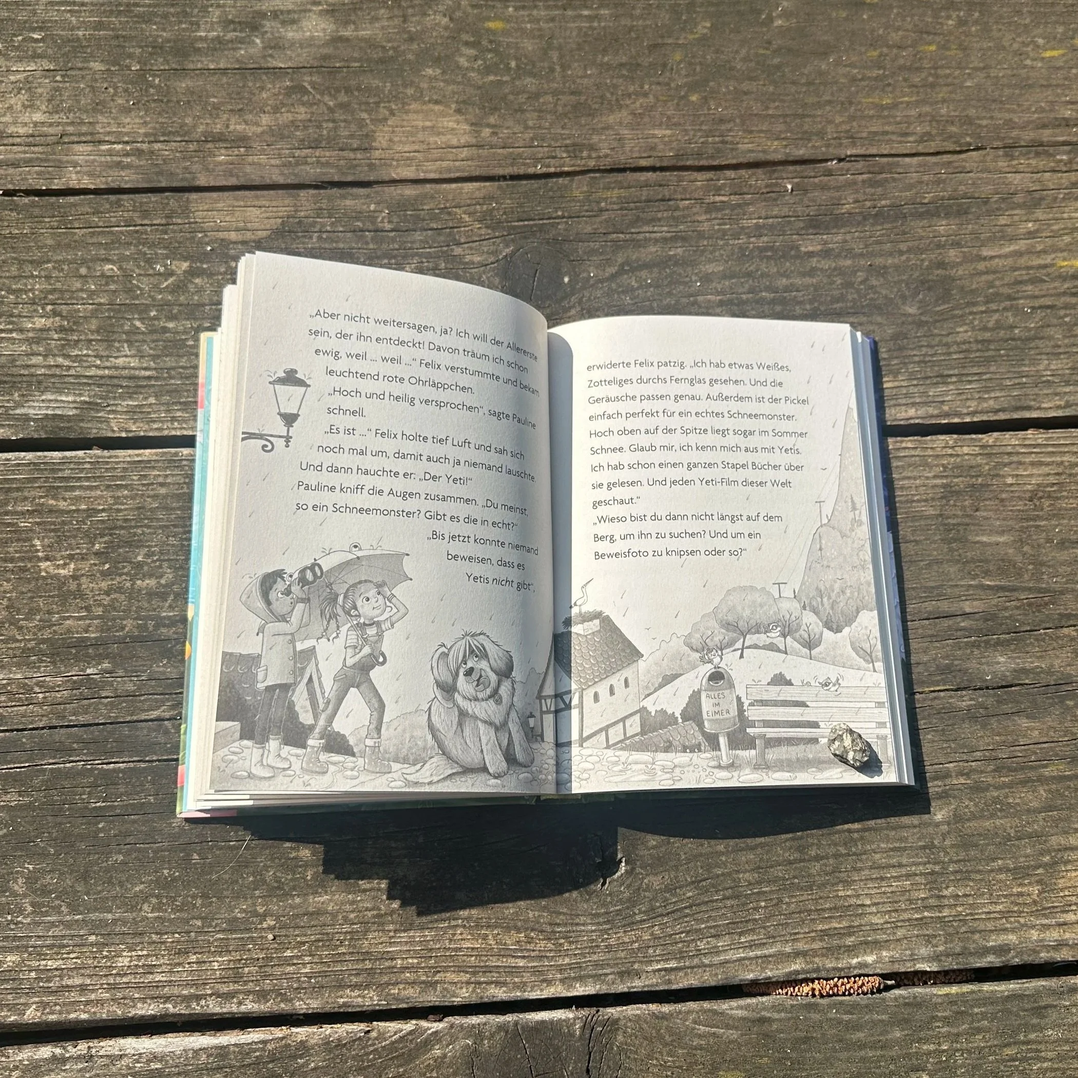 Das aufgeschlagene Buch Ein Foto des Buchs "Insel der Tierabenteuer - eine geheime Spur". Es zeigt eine Illustration von Sarah Garbers.