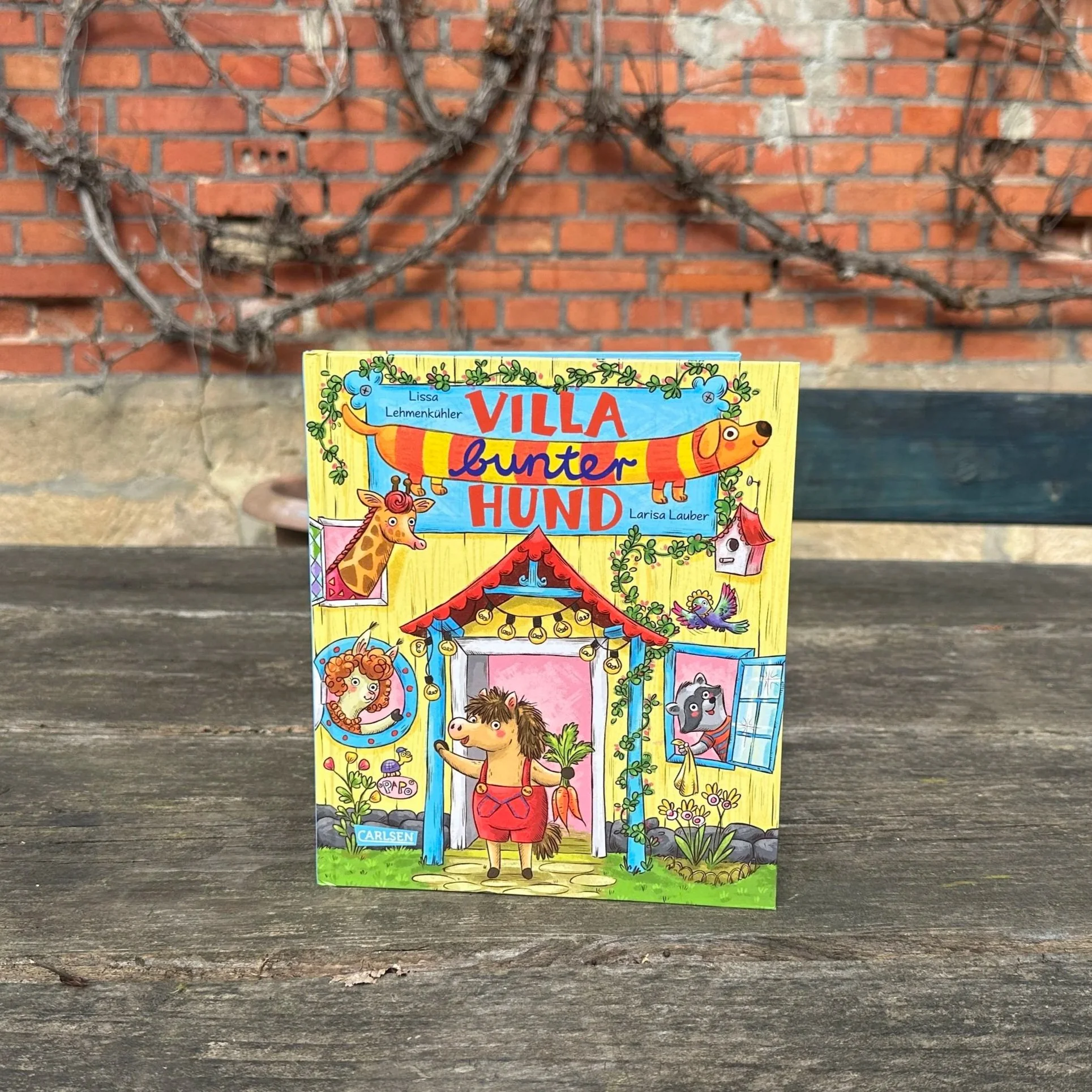 Ein Foto des Buchs "Villa bunter Hund"