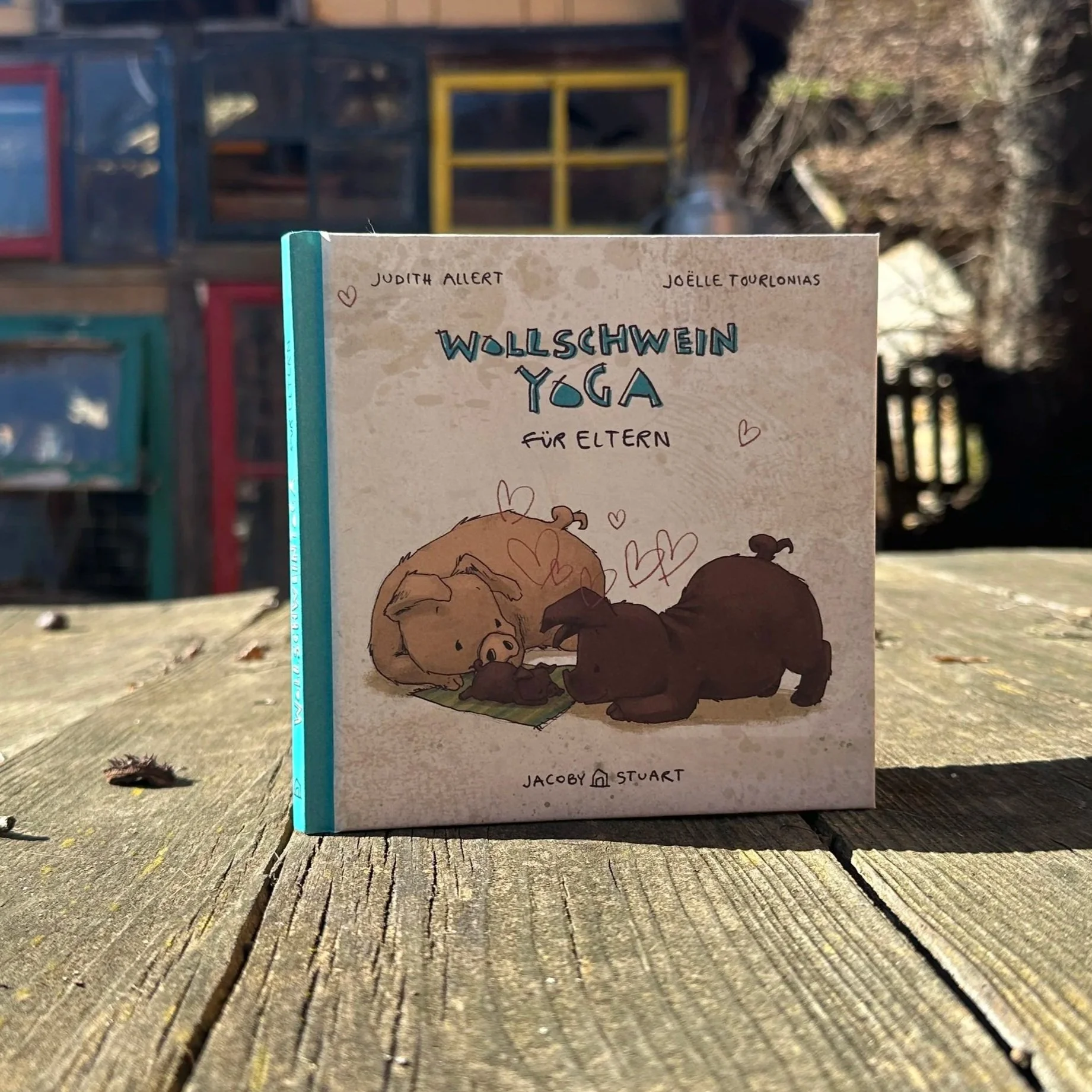 Wollschweinyoga für Eltern