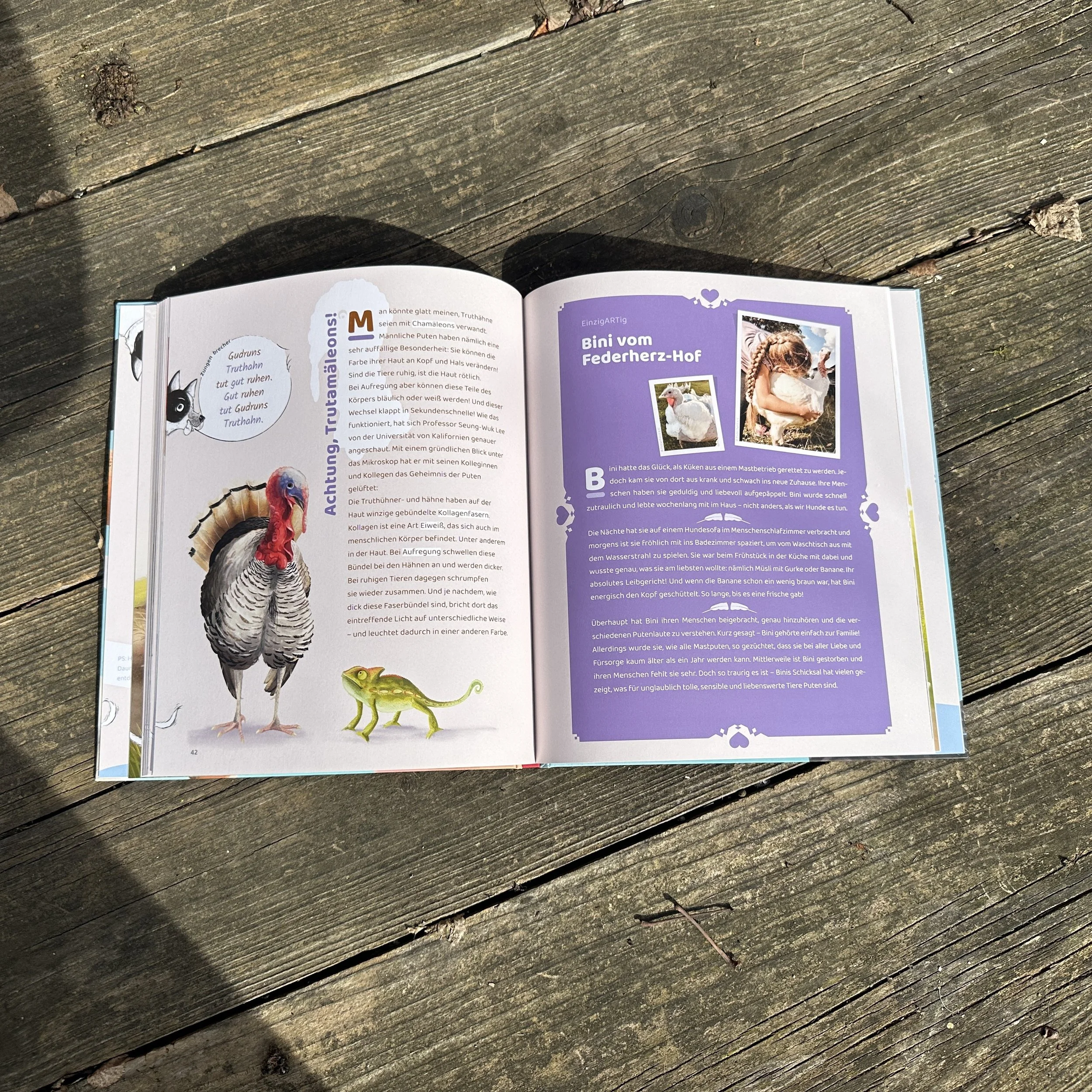 Das Foto zeigt das aufgeschlagene Buch "Schlau wie Sau". Man sieht einen Truthahn.