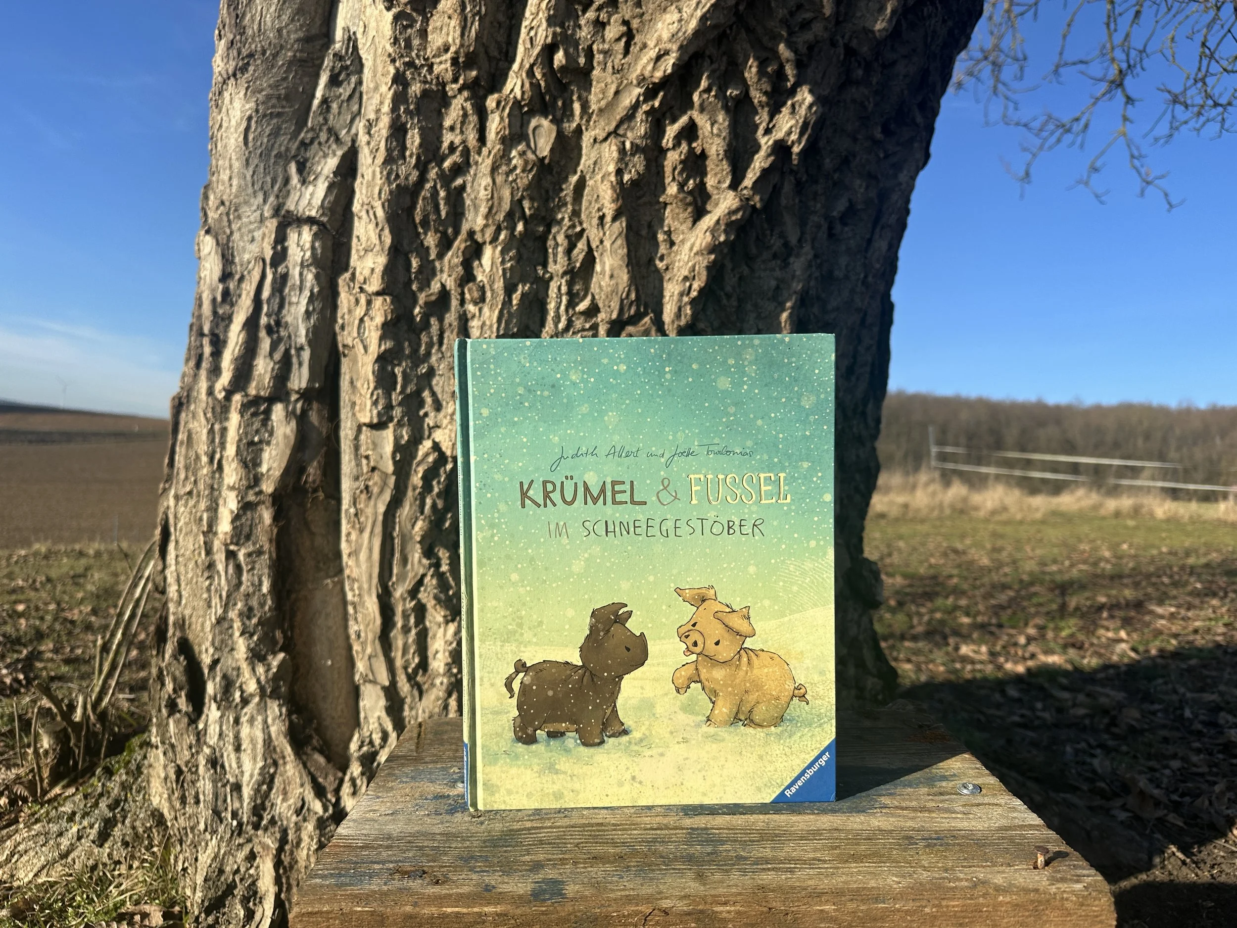 Krümel und Fussel im Schneegestöber