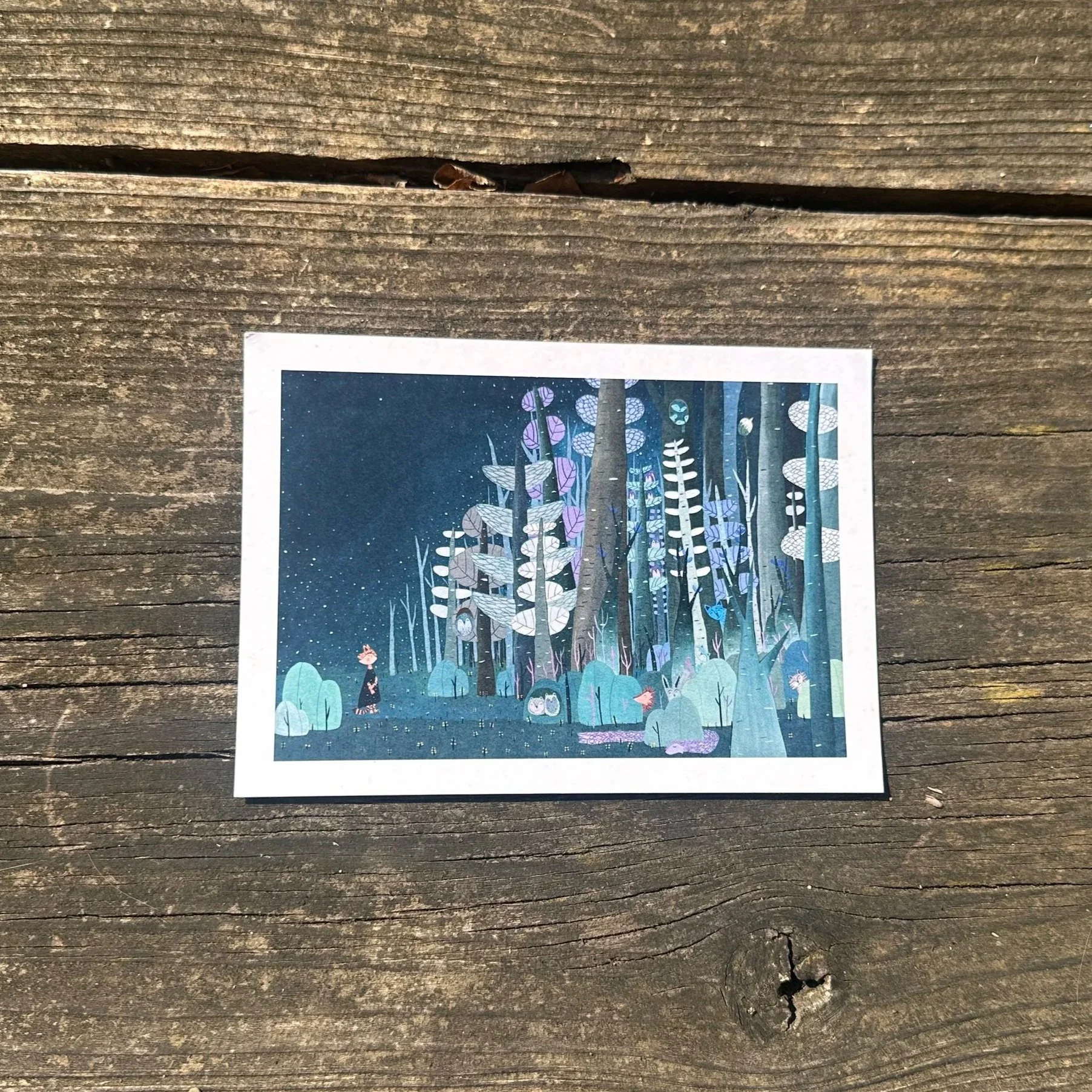 Postkarte "Zauberwald"