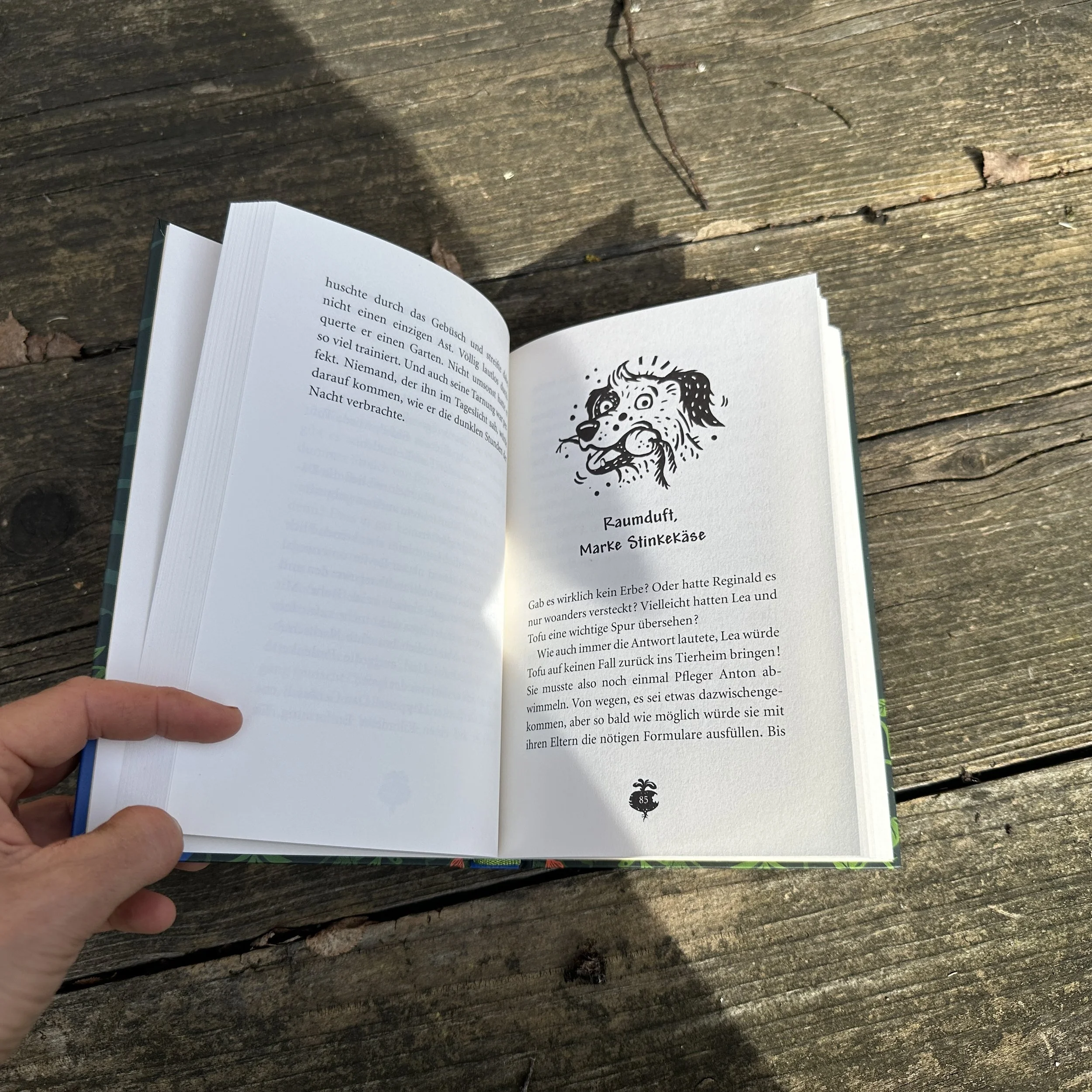 Das aufgeschlagene Buch "Tofu, der Superhund" mit einer Vignette von Nina Dulleck