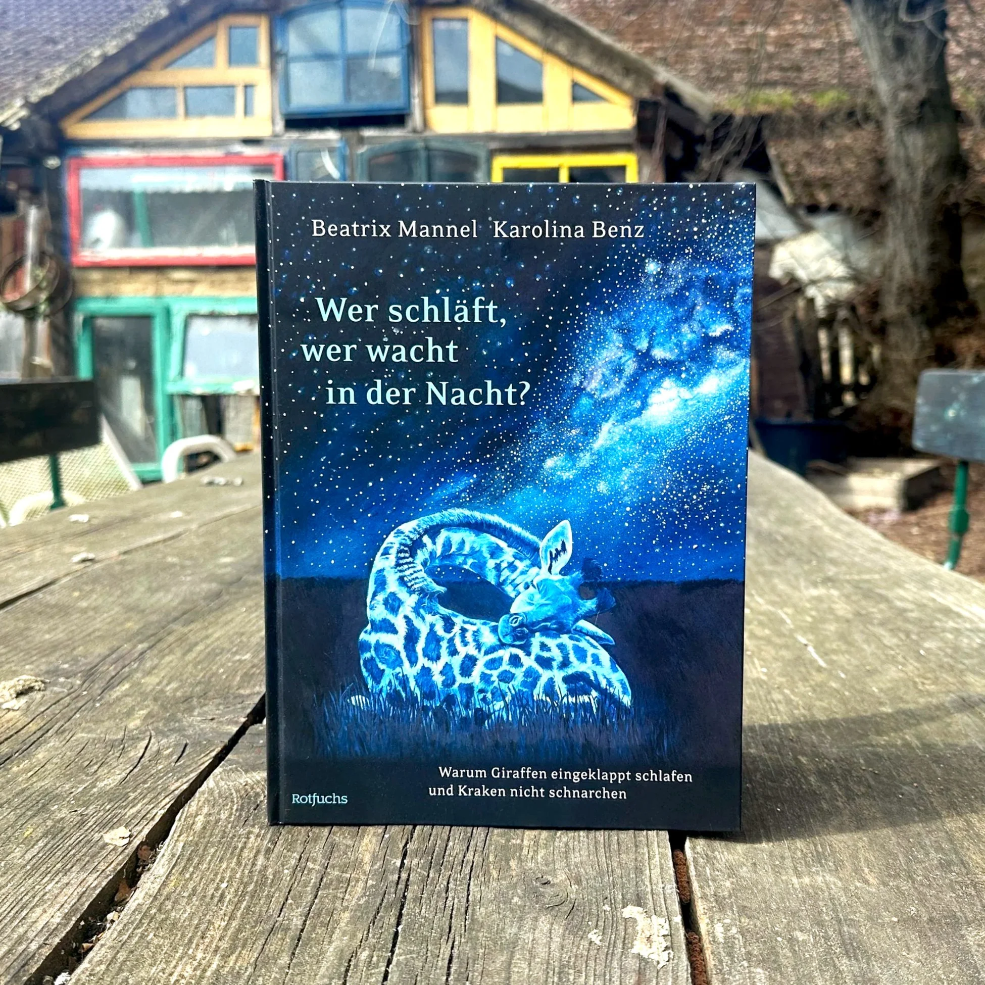 Ein Foto des Buchs: Wer schläft wer wacht ...