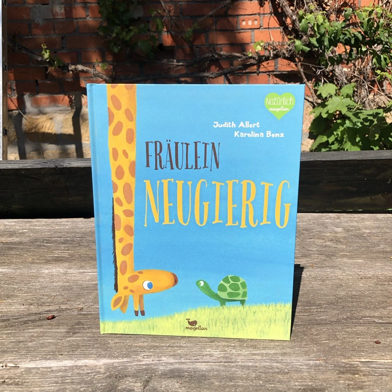 Ein Foto des Bilderbuchs Fräulein Neugierig