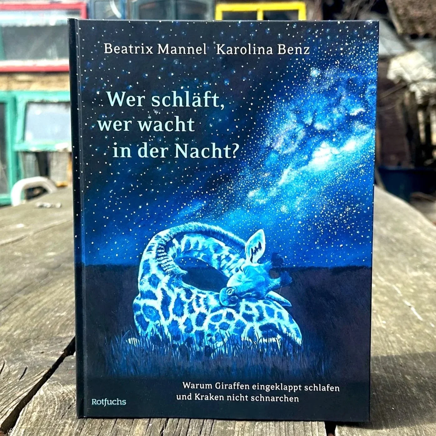 Wer schläft, wer wacht in der Nacht?