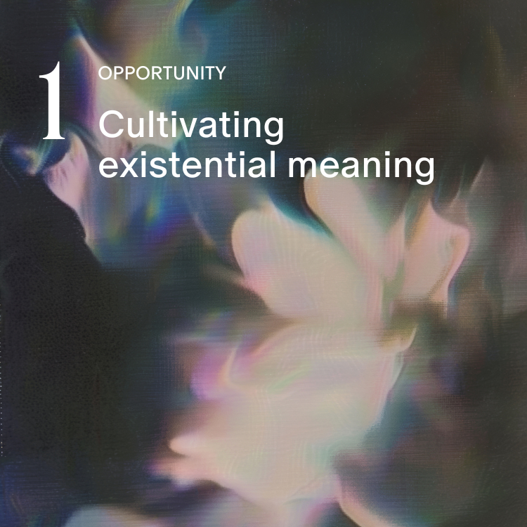 Holon_Institute_Opportunity_Statement_Existential_Meaning.png