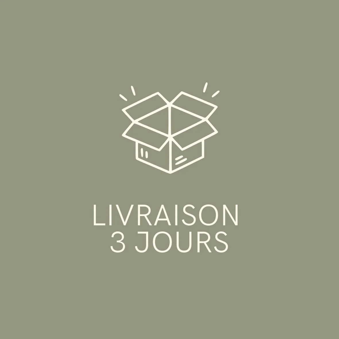Icône d'une boîte en carton ouverte avec le texte "Livraison 3 jours" en dessous, sur un fond vert olive.