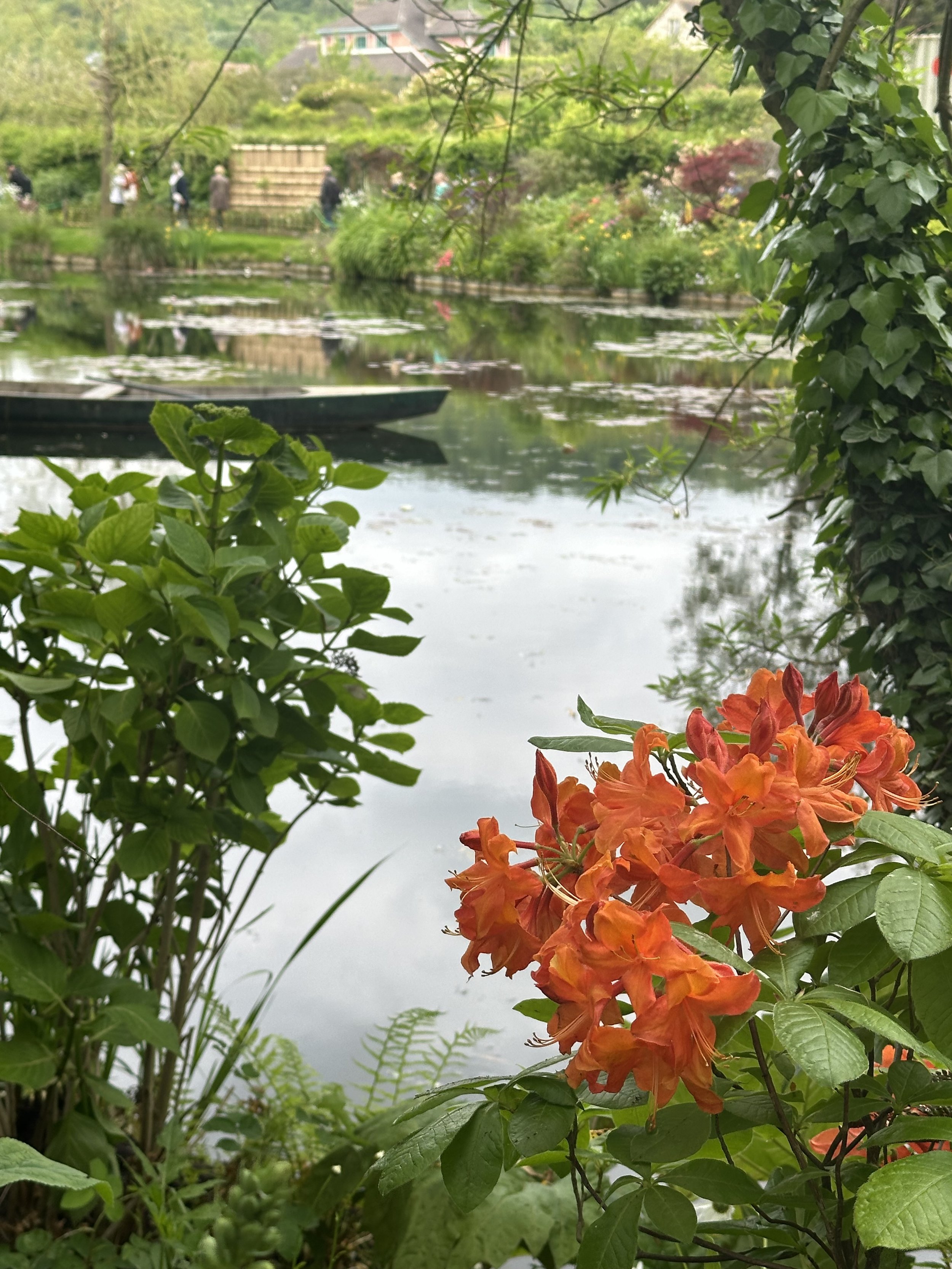 IMG_4547.jpg