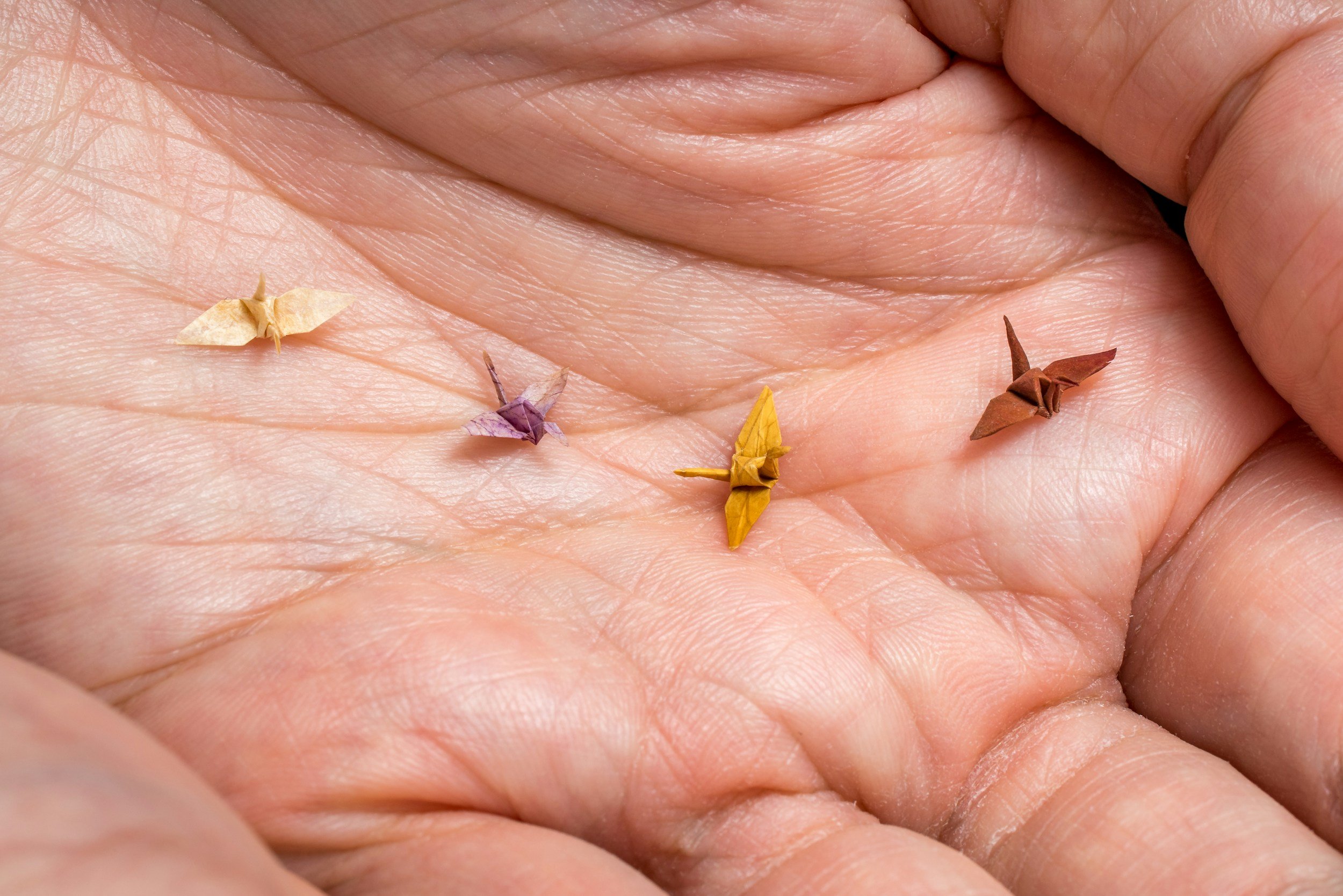 A close-up of a person's open palm with four tiny origami paper cranes in beige, purple, yellow, and brown colors.
