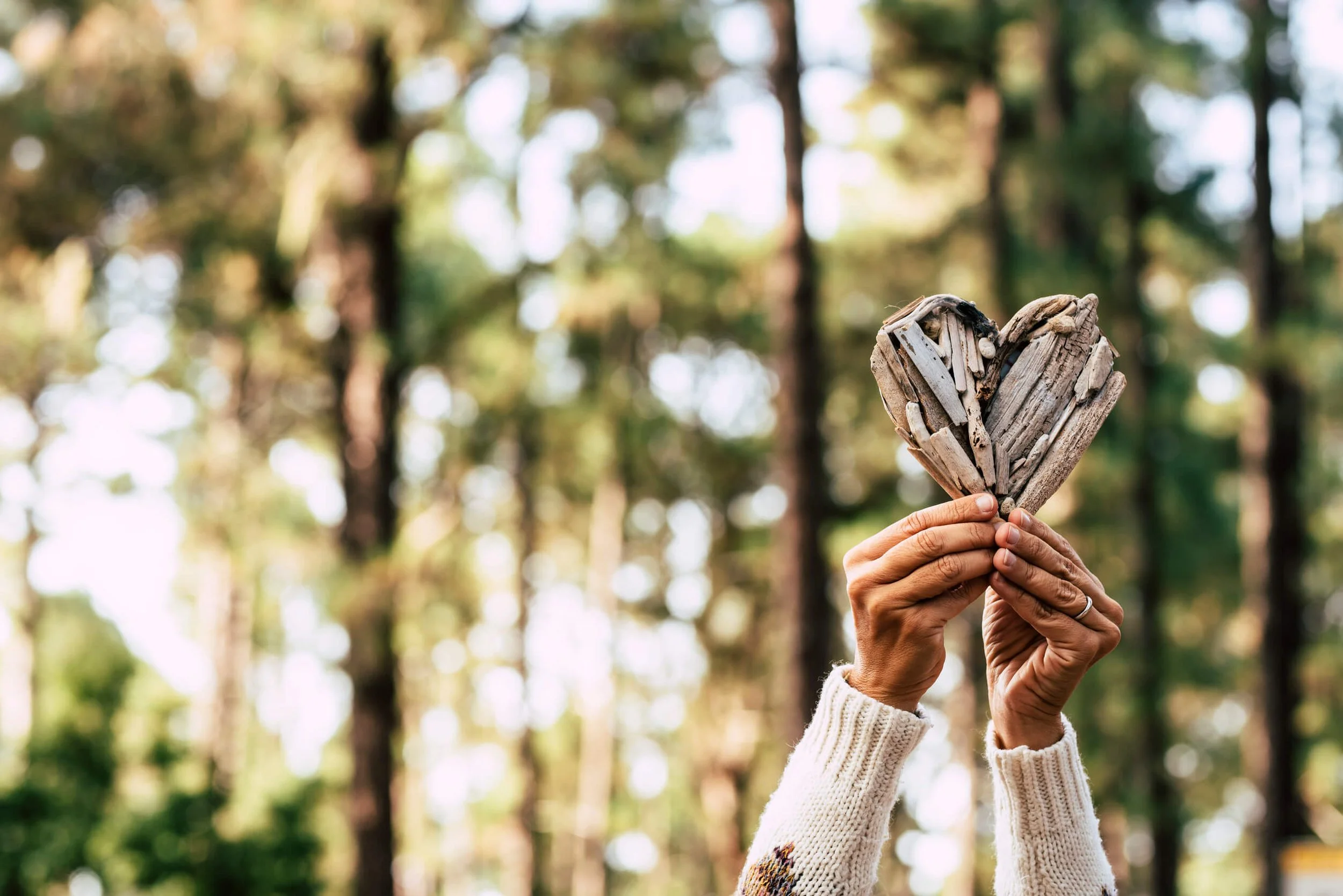 Adult hands with wooden art sculpture