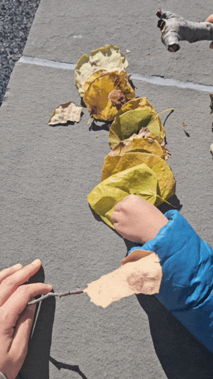 Child in blue jacket holds a tree branch with torn paper at the sidewalk with fallen leaves lined up in a row.