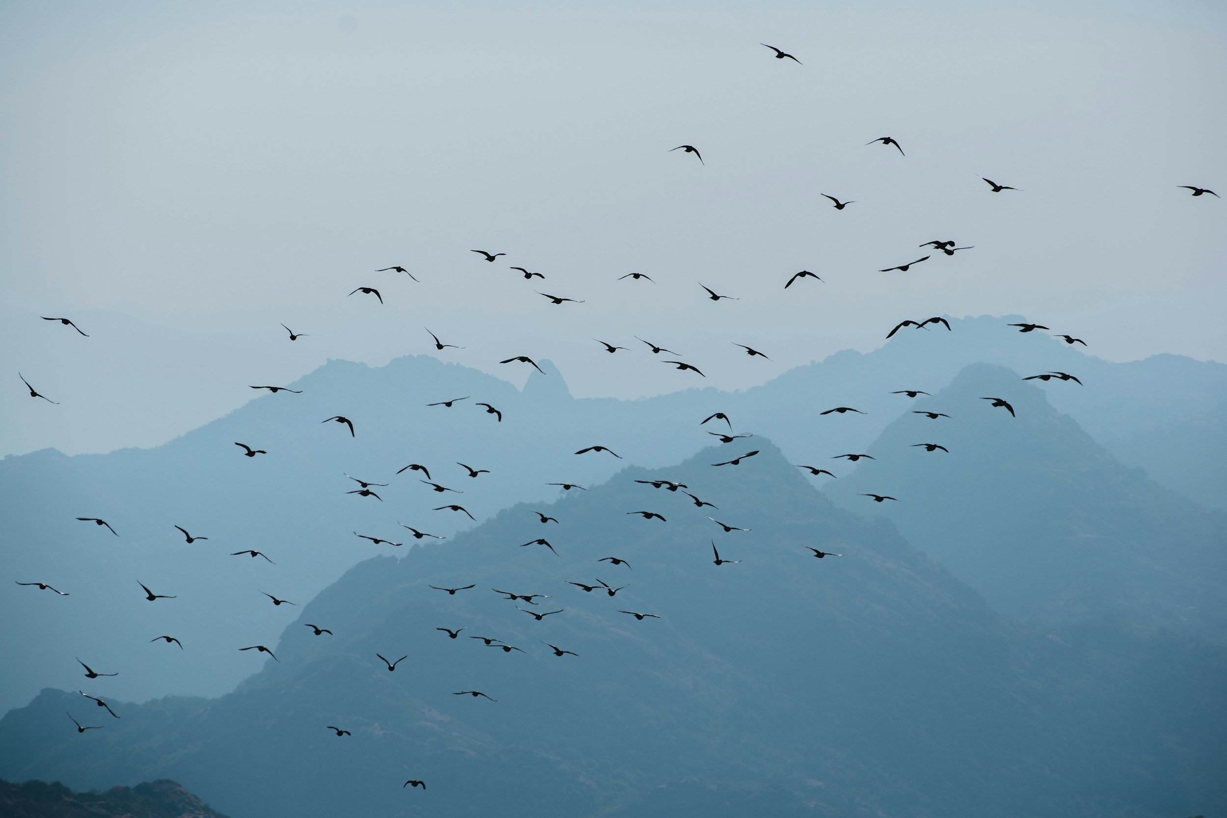 Healthy Systems: Strong Relationships, Strong Foundations