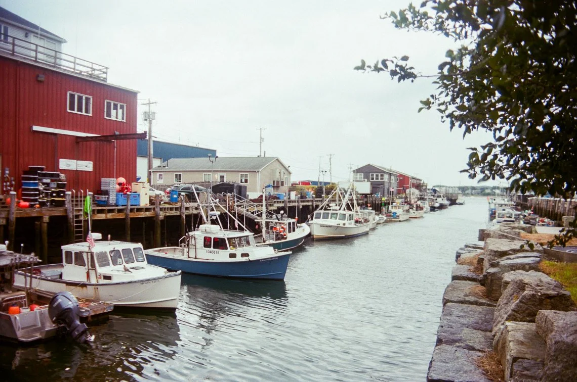 65104751_1027199_c378860187a5b22e005fc9581354f9a0_lg.jpg