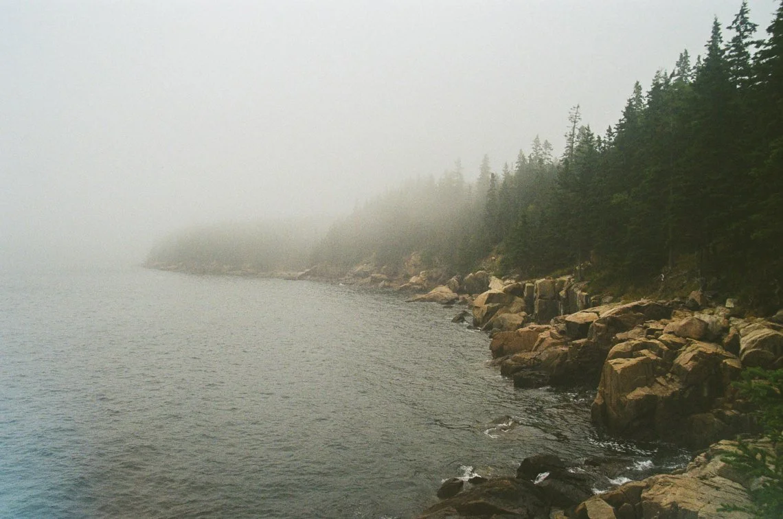 65104429_1027199_f3ead2c829ee91336676e133c5cffad8_lg.jpg