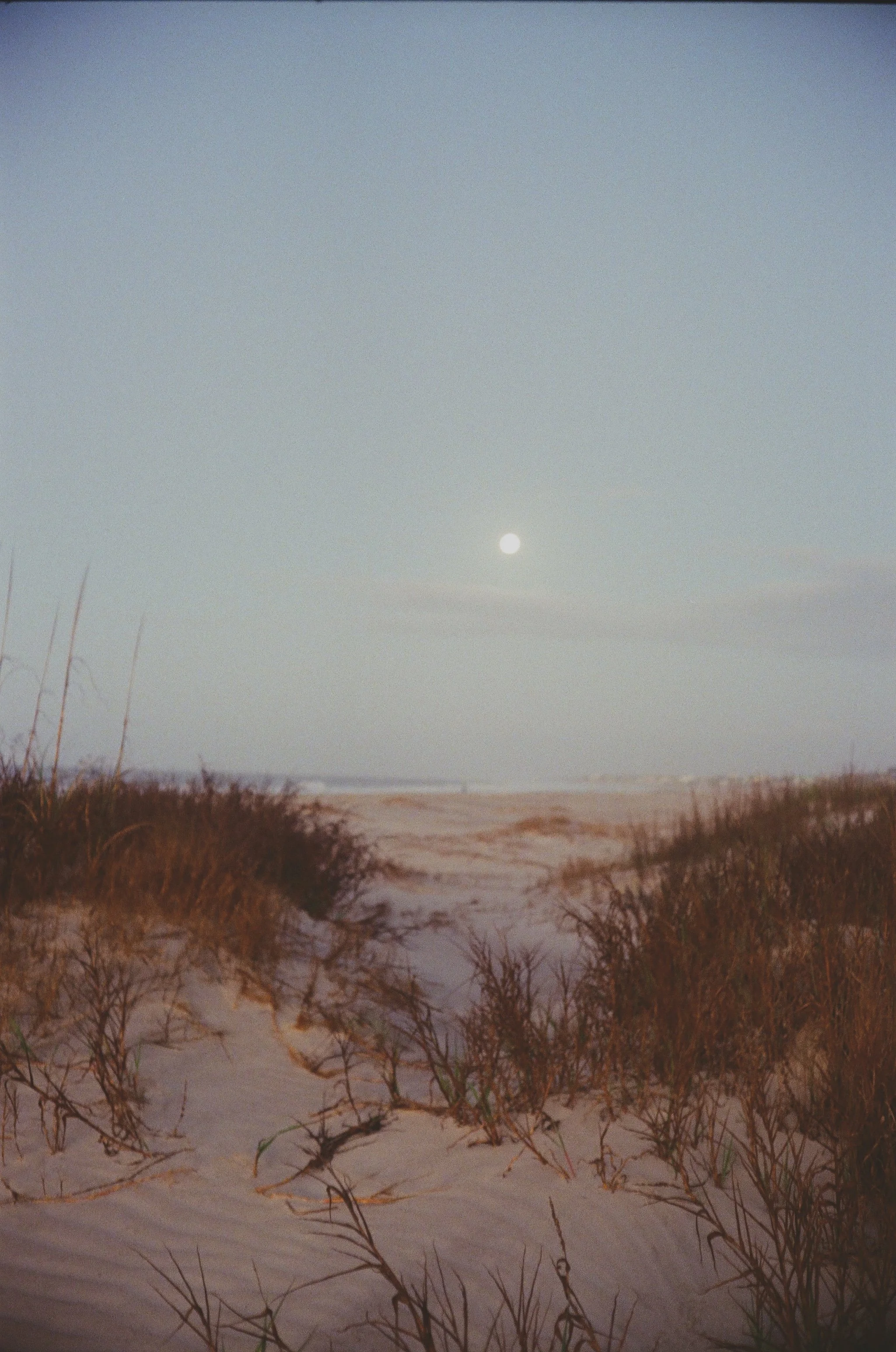 IMG_3927.jpeg