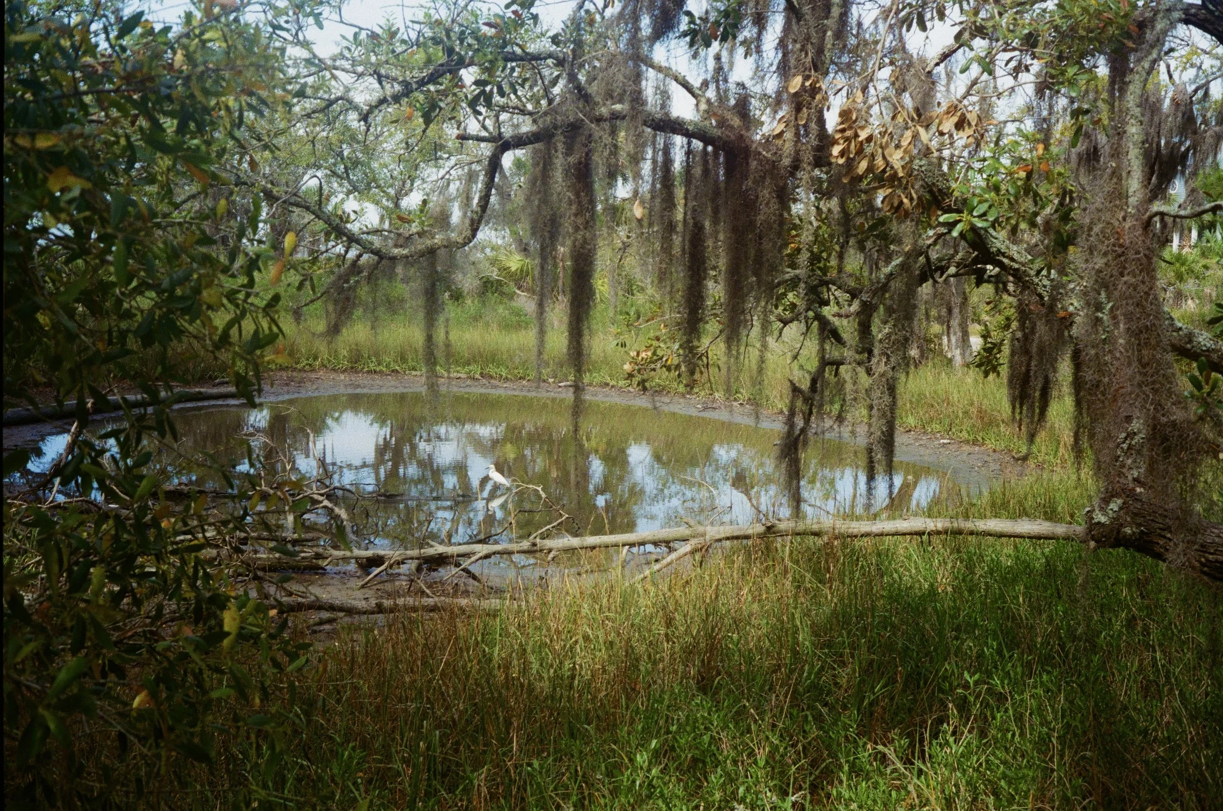 Americana: The South