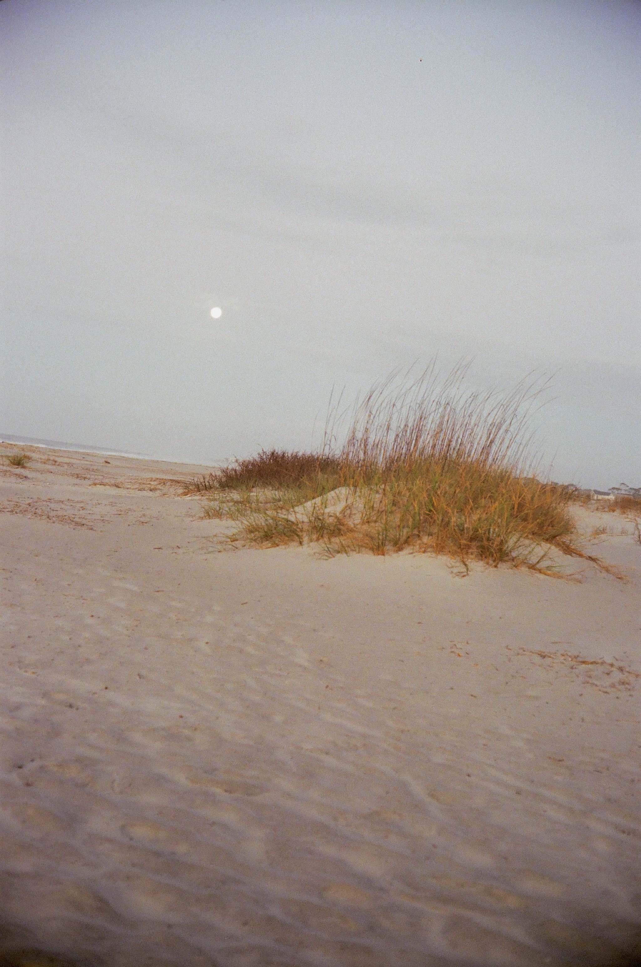 IMG_3943.jpeg