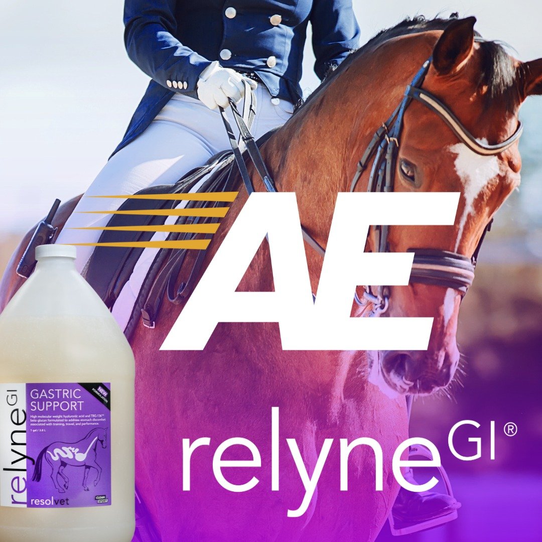 Support your horse's gastric health with RelyneGI 🐴 

Now available through Accelerate Equine:
https://accelerate-equine.com/shop

#HappyHorseLife #EquineWellness #RelyneGI #GastricSupport #EquineSupplements #AccelerateEquine