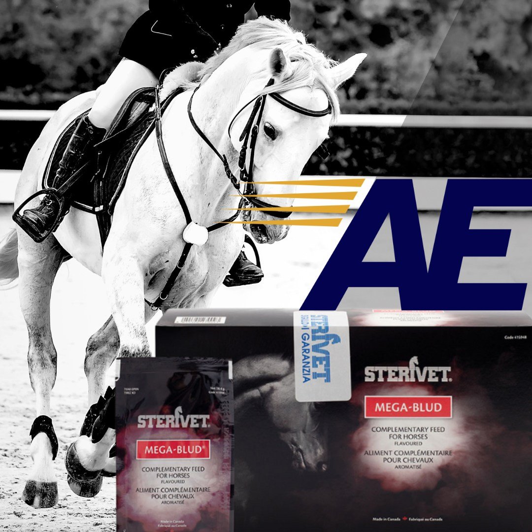 Have you seen our new Equality Range?

Introducing Mega Blud.

Premium vitamin and mineral supplement for growth, development and performance.

👉 https://accelerate-equine.com/shop/p/mega-blud

#accelerateequine #equineproducts #equinesupplements