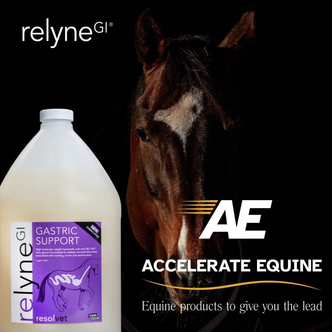 🐴 Did you know that RelyneGI is tasteless and odorless? Your horses won't even notice it in their feed! Keeping them happy and healthy without a fuss.

Now available at:
accelerate-equine.com

#RelyneGI #HappyHorses #EquineWellness #Equinehealth #Eq