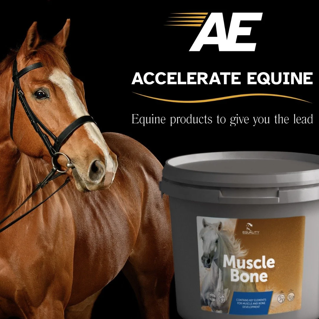 Meet Muscle Bone from our Equality Range &mdash; an all-in-one nutritional supplement to support the musculoskeletal system in horses of all ages.

👉 accelerate-equine.com/shop/p/muscle-bone

#HorseHealth #AccelerateEquine #EquineSupplements