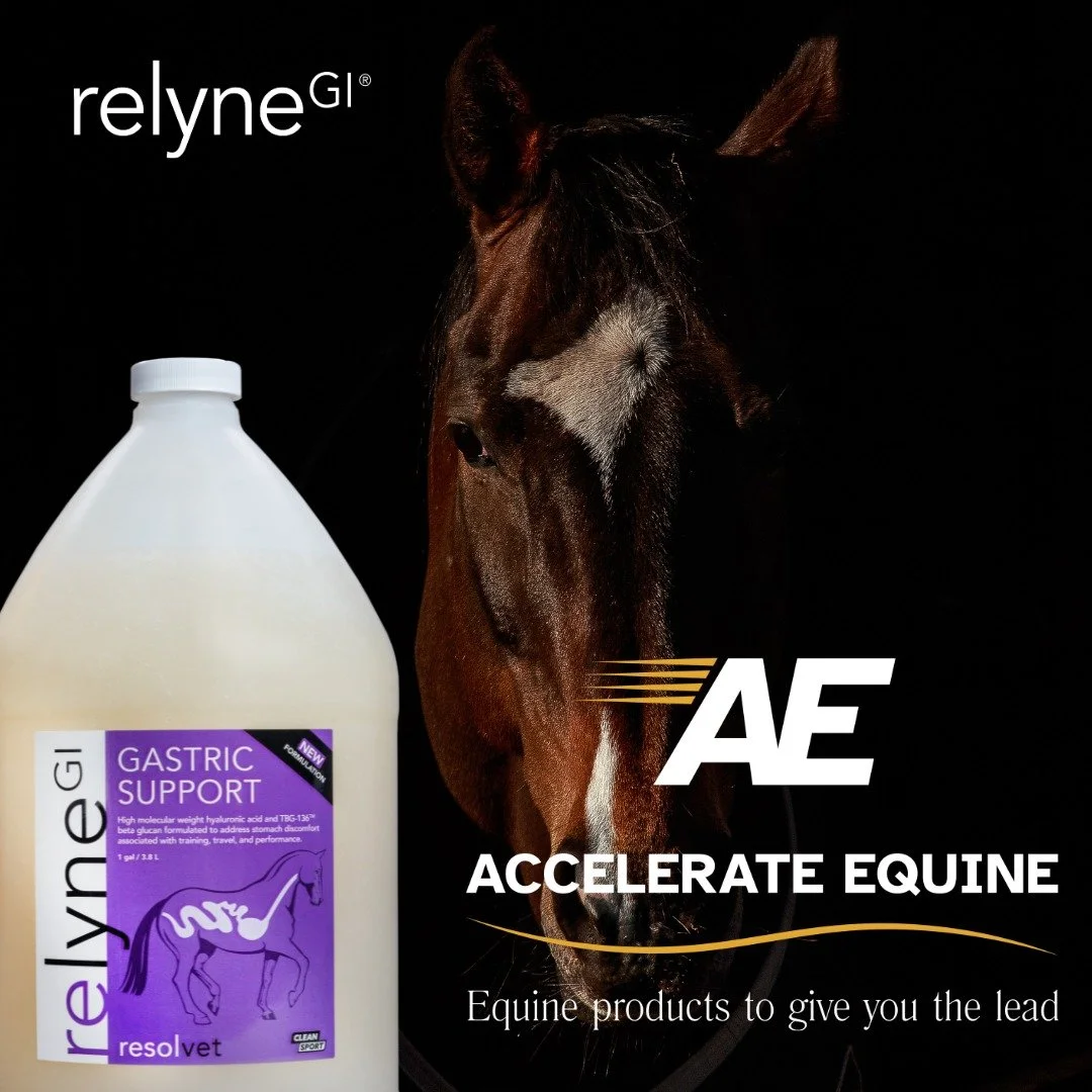 Give your horse the support they need for consistent gastric health with RelyneGI, now available through Accelerate.

👉 accelerate-equine.com/shop

#GastricSupport #EquineWellness #RelyneGI