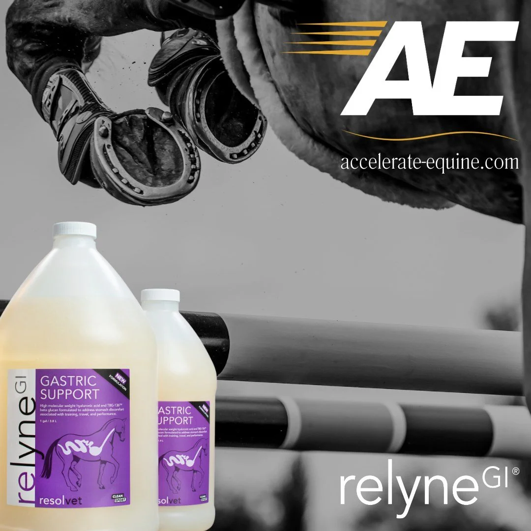 RelyneGI mixes seamlessly into feed &mdash; your horse won&rsquo;t even notice it&rsquo;s there, but you&rsquo;ll notice the results.

Gentle, proven gastric support for happy horses.
👉 accelerate-equine.com

#RelyneGI #HappyHorseLife #EquineWellnes