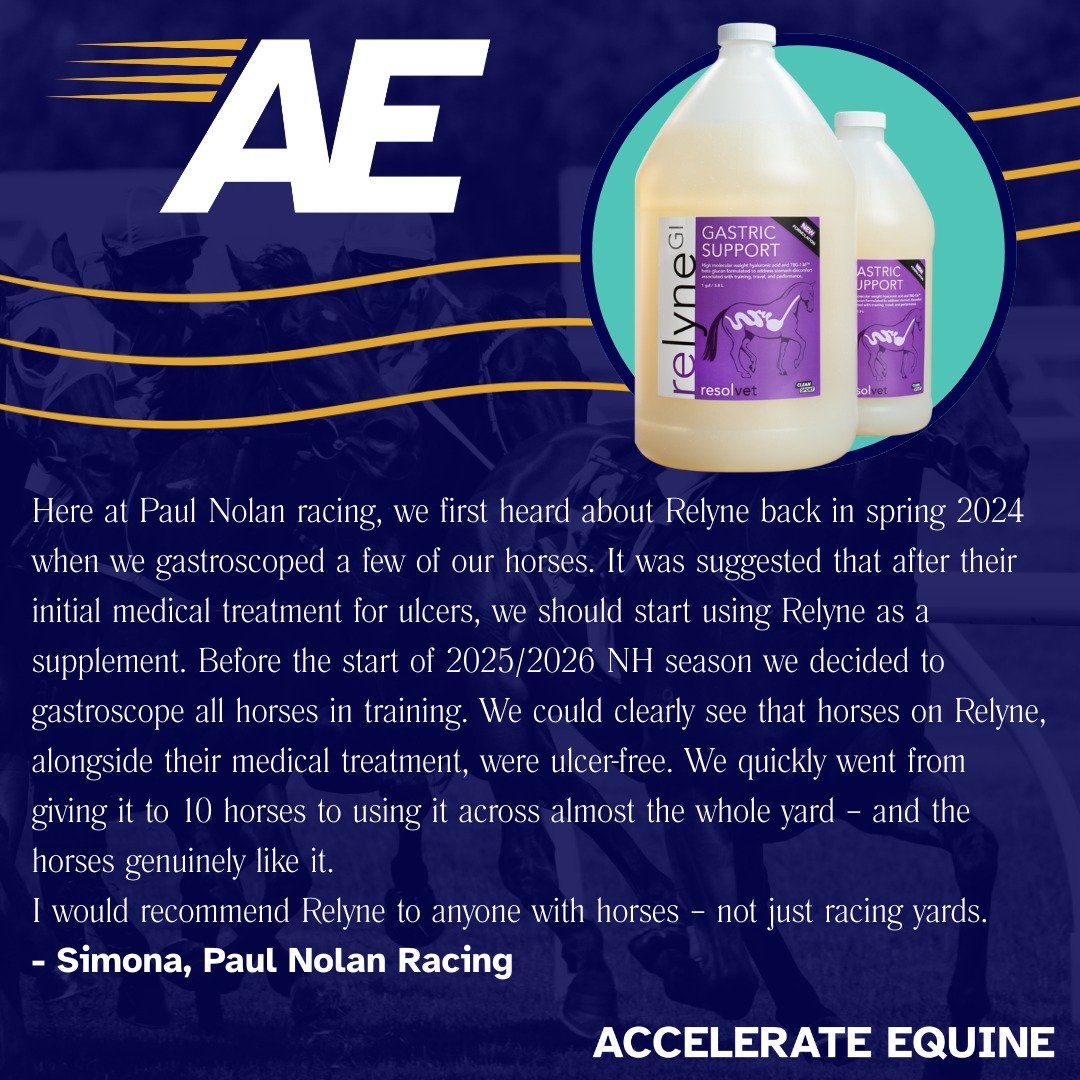&quot;Here at Paul Nolan racing, we first heard about Relyne GI back in Spring 2024 when we gastroscoped a few of our horses. It was suggested that after their initial medical treatment for ulcers, we should start using Relyne as a supplement. Before