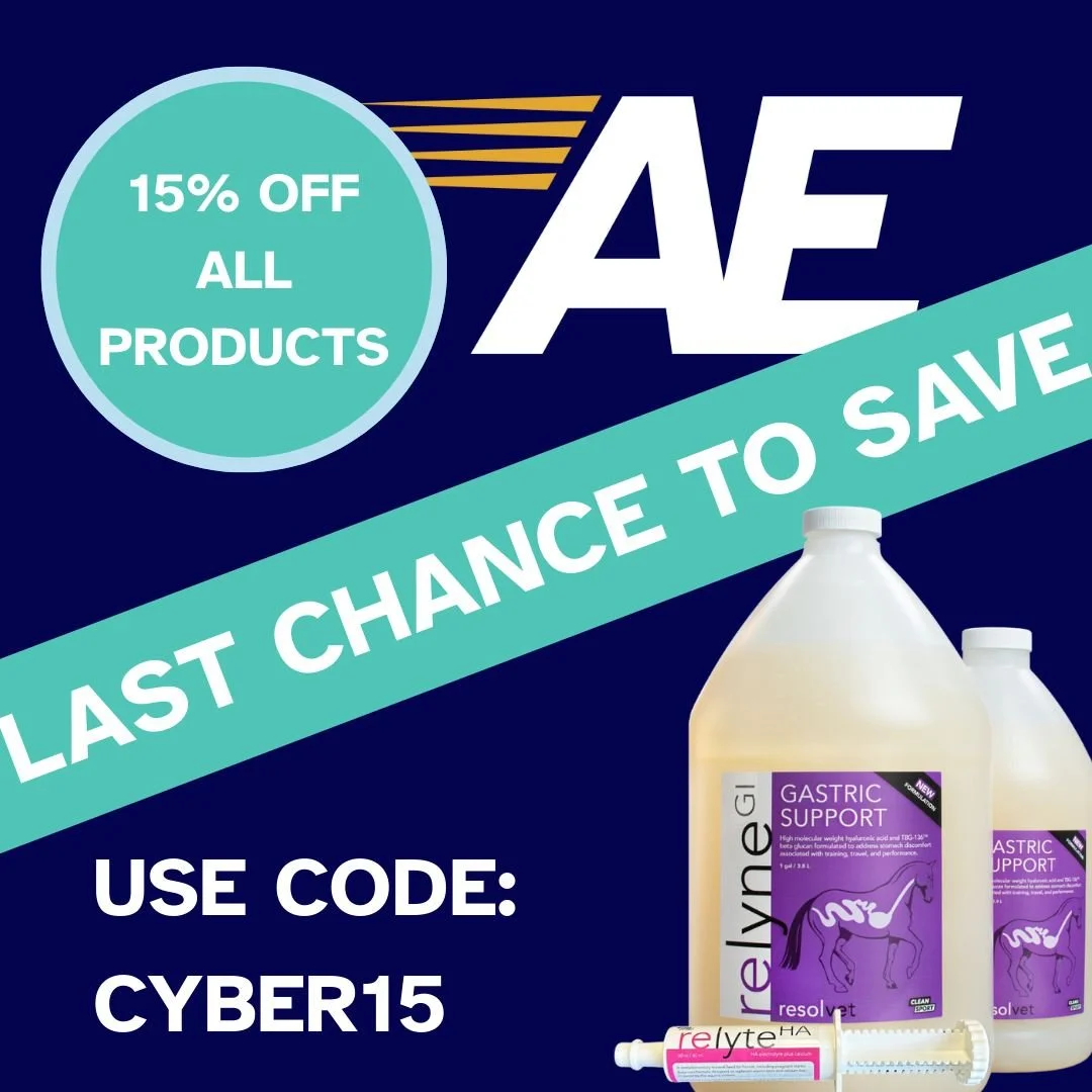 ⚠ TODAY IS YOUR LAST CHANCE TO SAVE 15% ON ACCELERATE EQUINE ⚠

Shop now: https://accelerate-equine.com/

#cybermonday #cybermondaysale #equineproducts #cybermondayequine