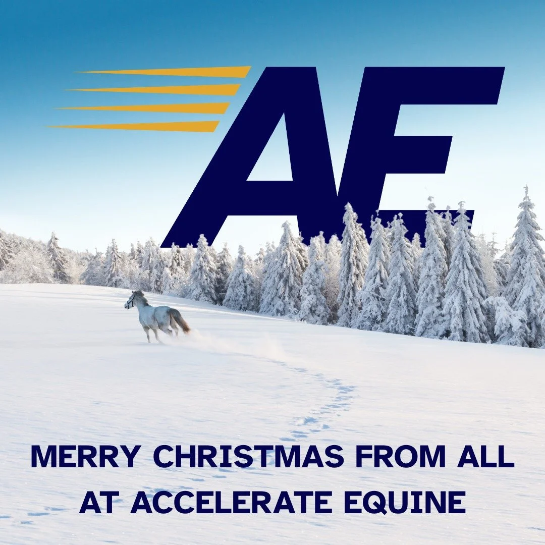 Wishing everyone a very Merry Christmas and here's to a happy and joy-filled 2026!