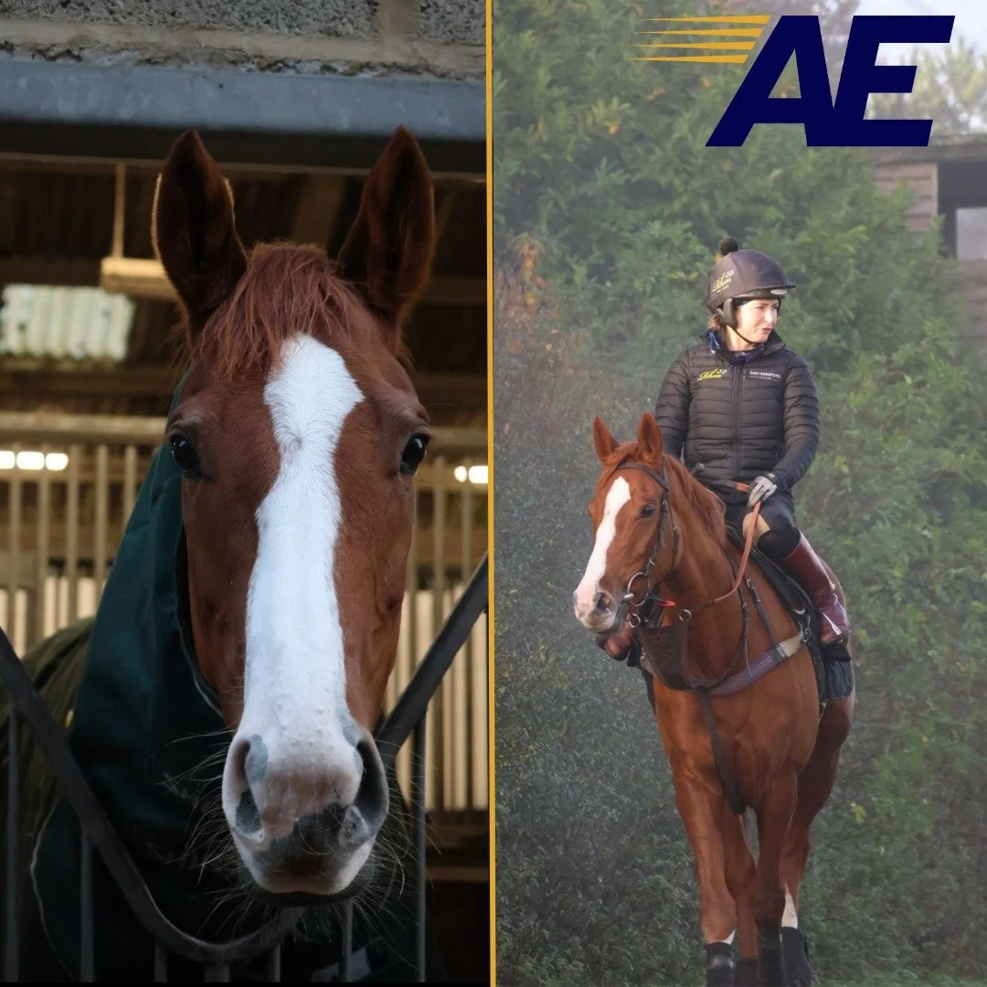 "We have been using Relyne GI on one of our fillies for a couple of months now. She is a fussy eater who is prone to going off feed and dropping top line. Since using Relyne she has really come into herself and finished a very good 4th in her fi