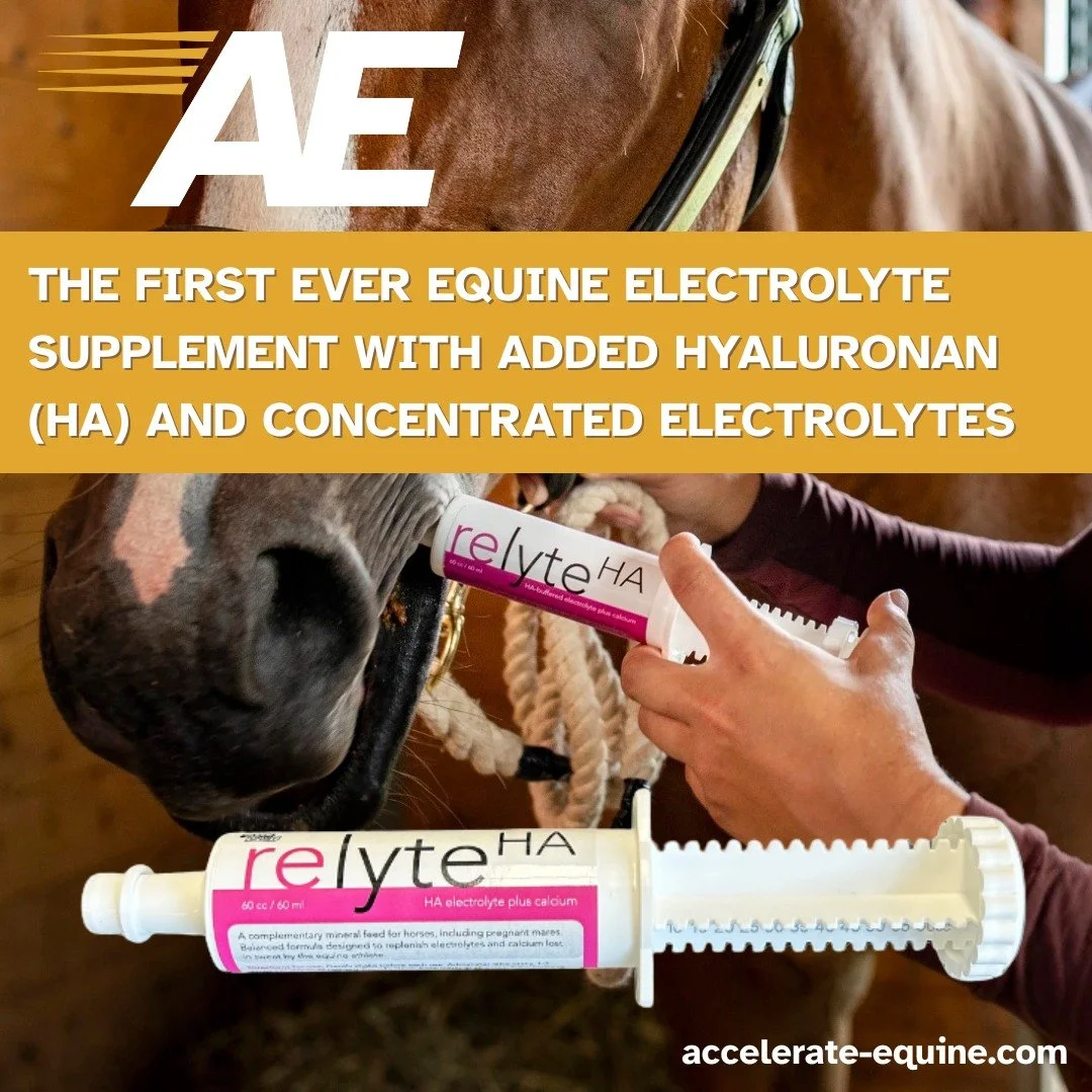 🚨 NEW🚨

Relyte HA is a balanced equine electrolyte that replenishes the minerals lost in sweat, provides added calcium, and supports gastrointestinal comfort with the addition of hyaluronan (HA).

From the same stable that brought you Relyne GI. 

