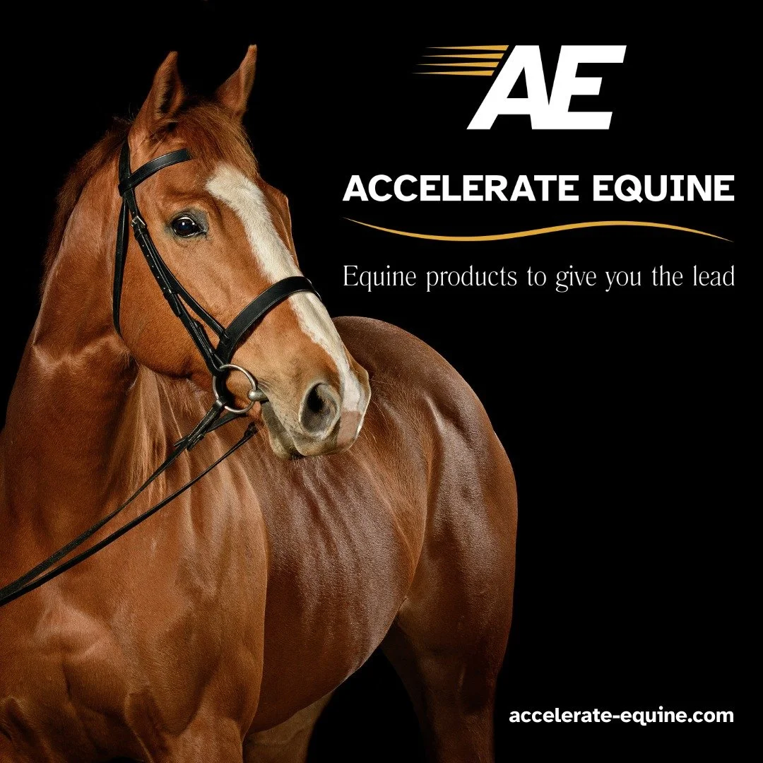 Start off 2026 with high quality products selected by veterinary professionals to support the performance horse:

👉 https://accelerate-equine.com/shop

#equinesupplements #relynegi #equinegastricsupport #equalityequine